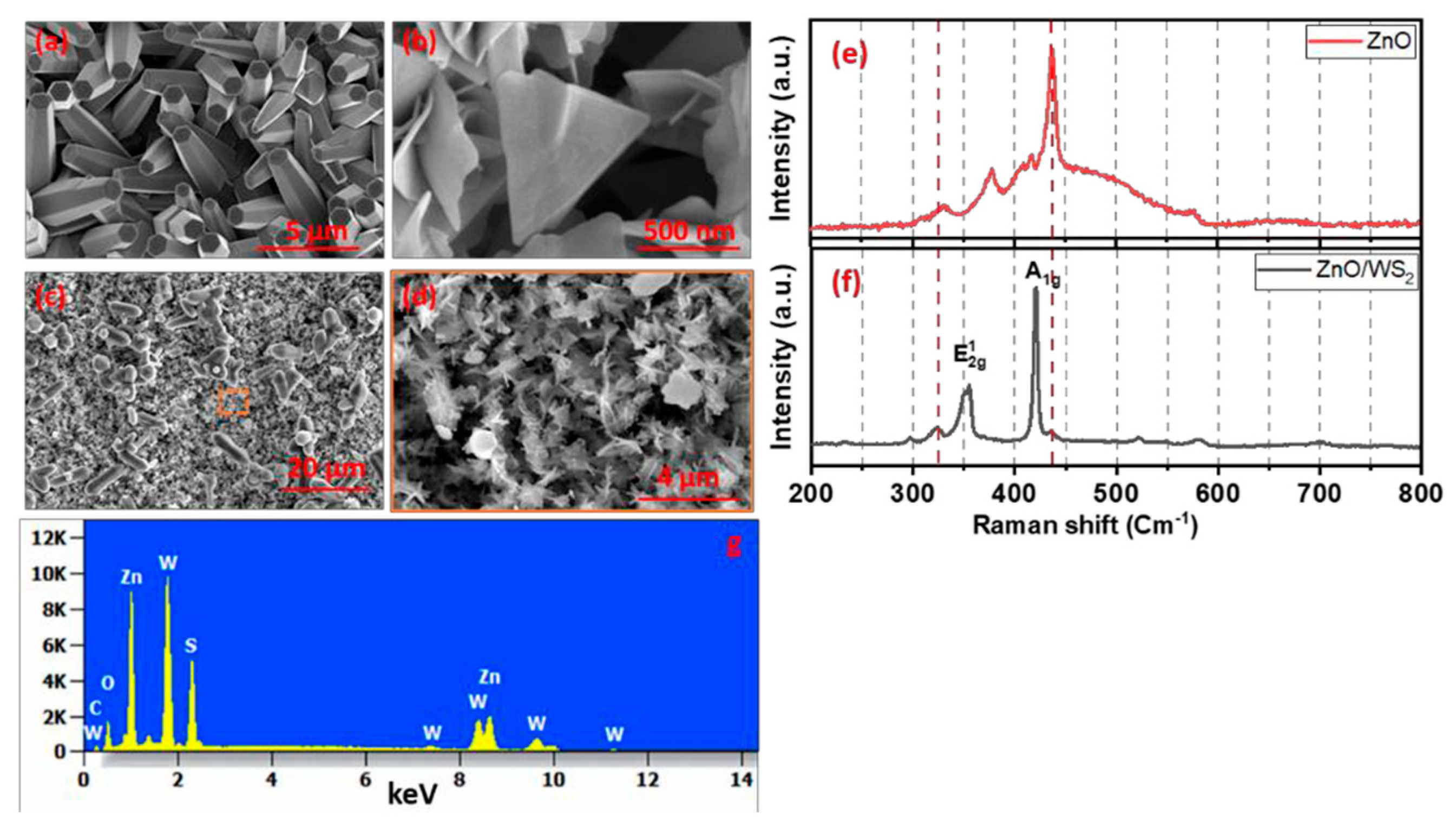 Proceedings 97 00133 g001