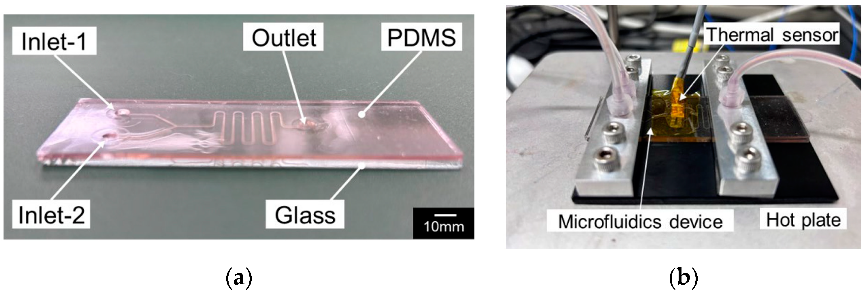 Proceedings 97 00142 g001