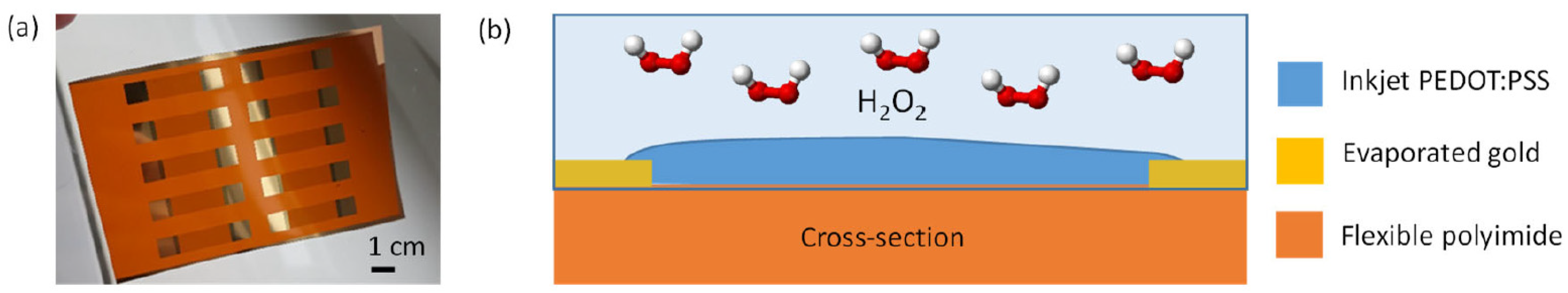 Proceedings 97 00148 g001