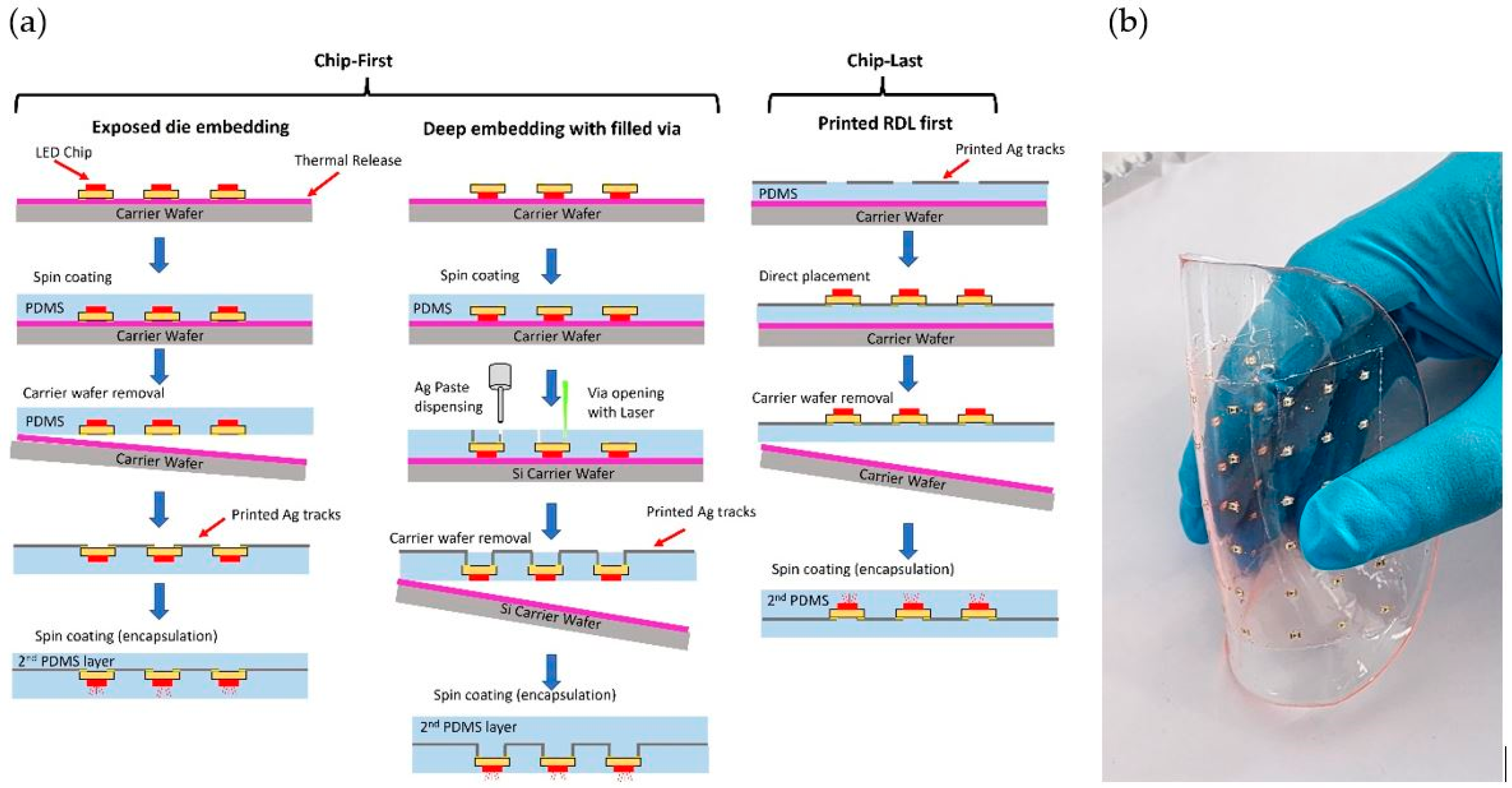 Proceedings 97 00153 g001
