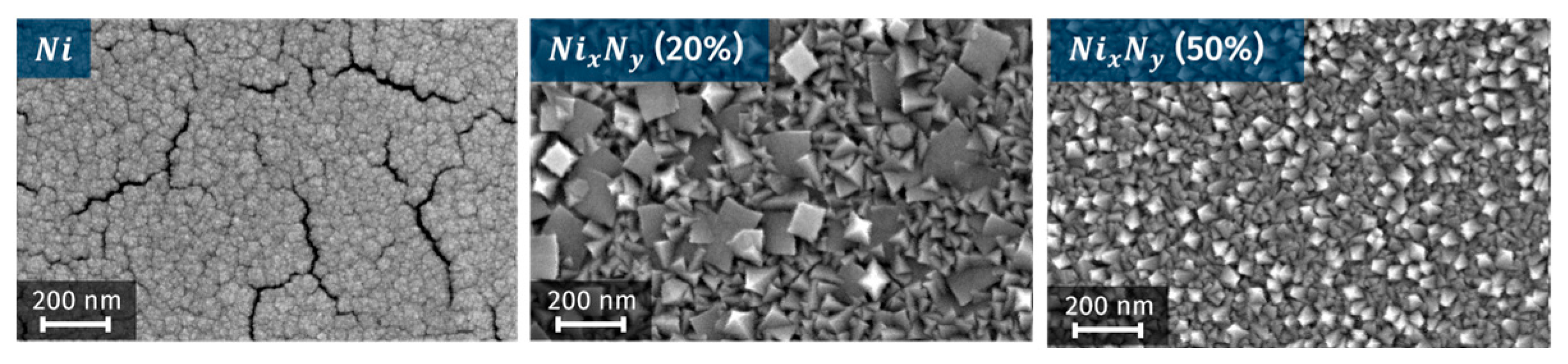 Proceedings 97 00156 g001