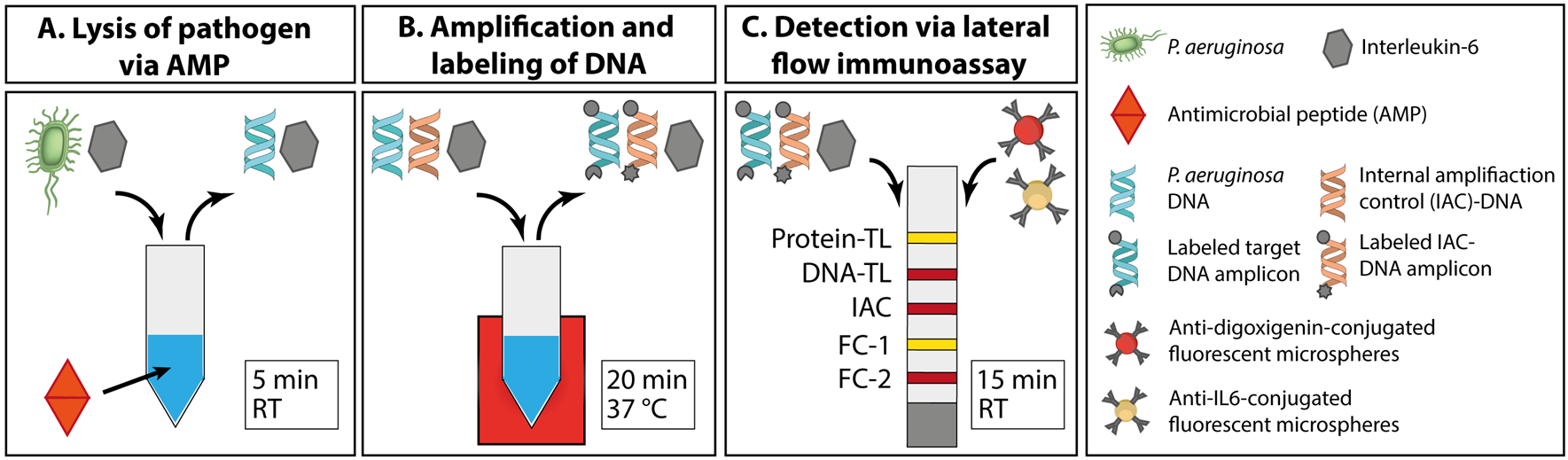 Proceedings 97 00194 g001