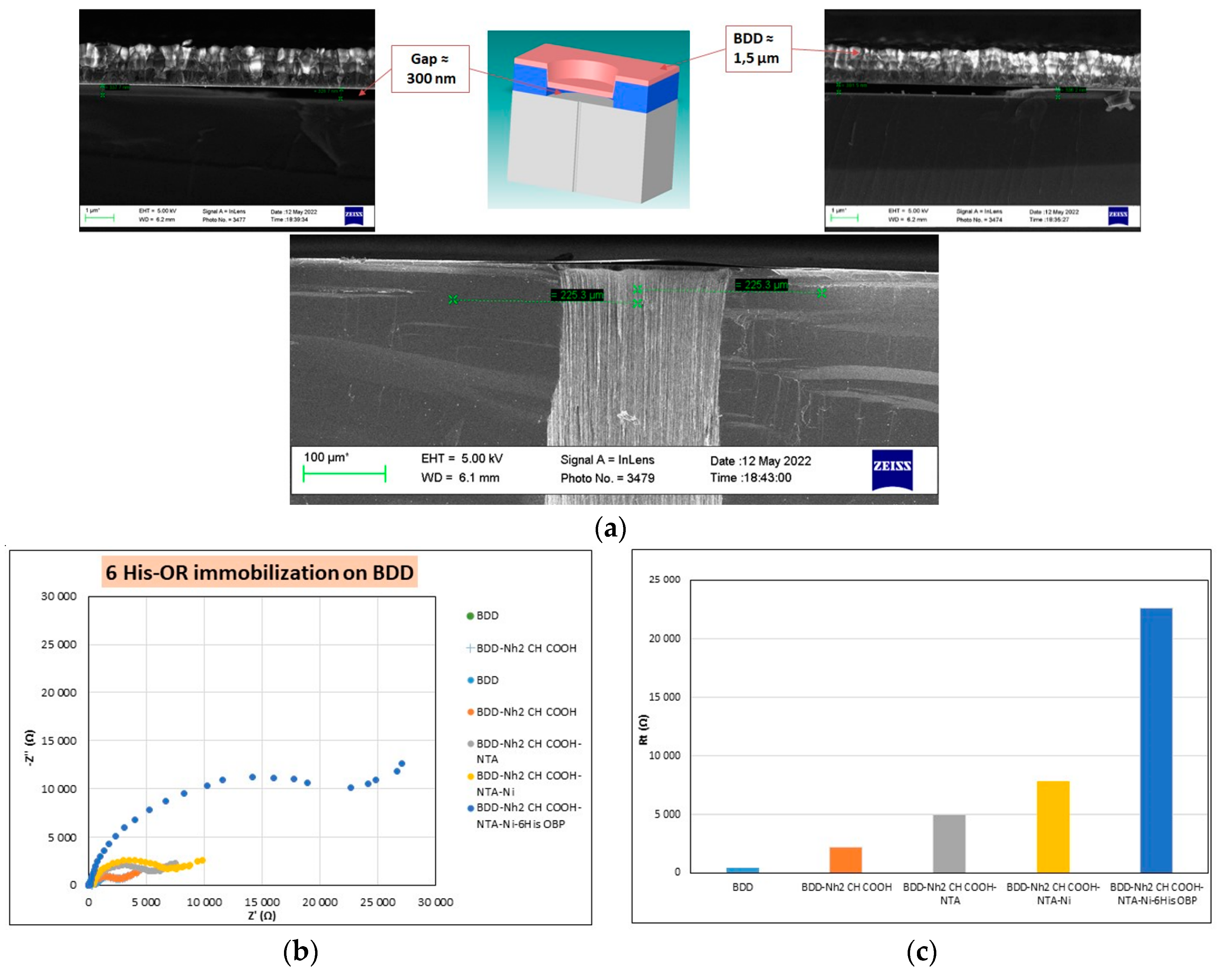 Proceedings 97 00220 g001