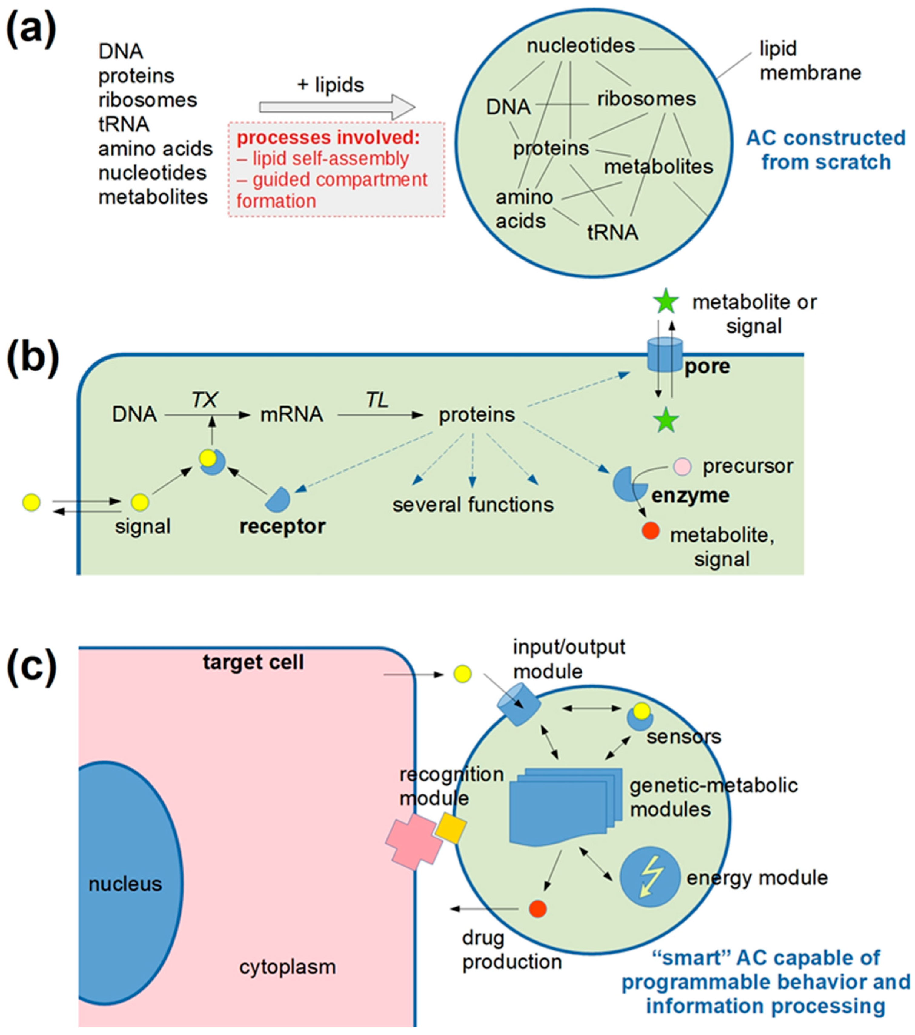 Proceedings 98 00001 g001