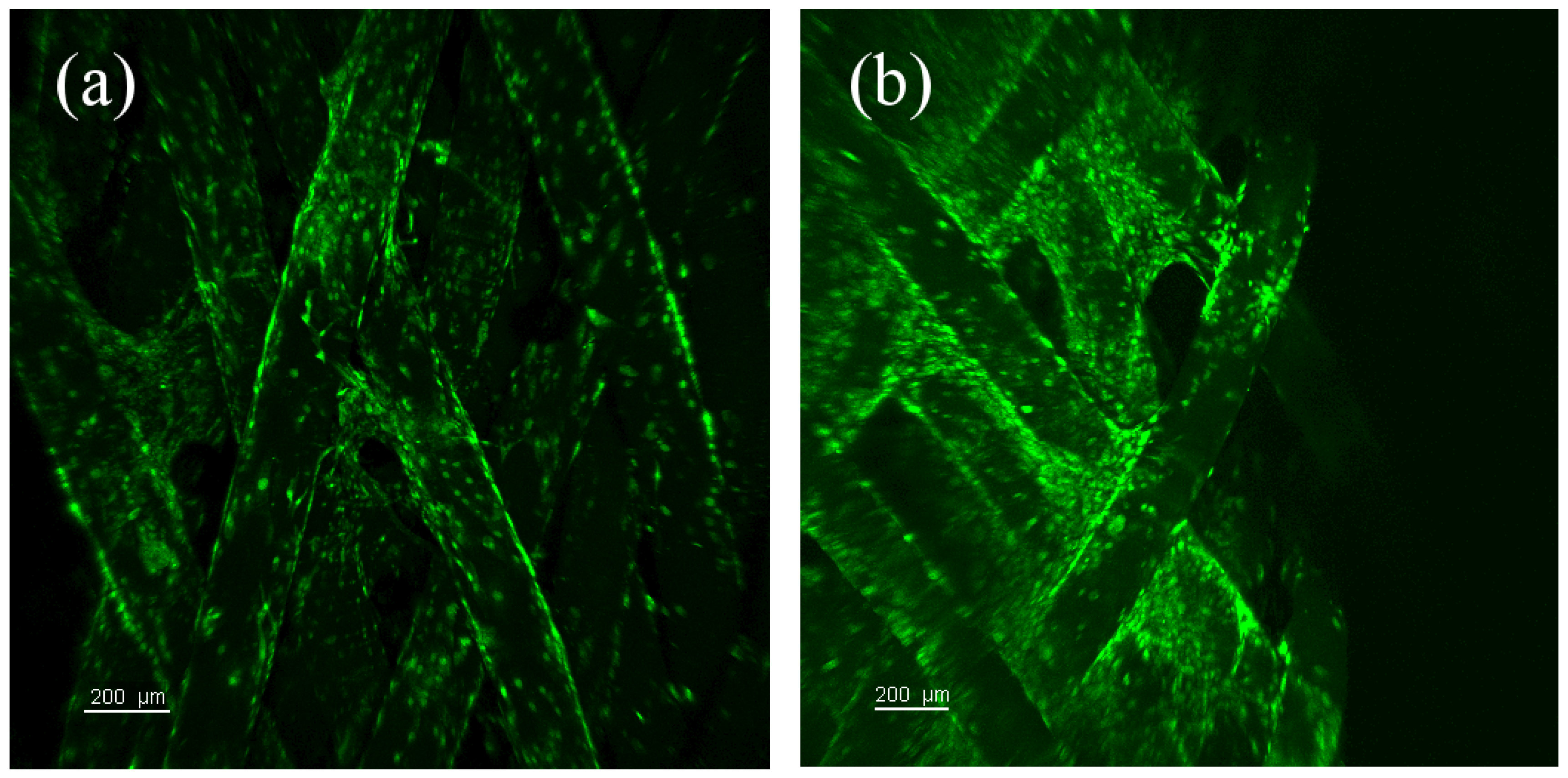 Processes 02 00167 g005