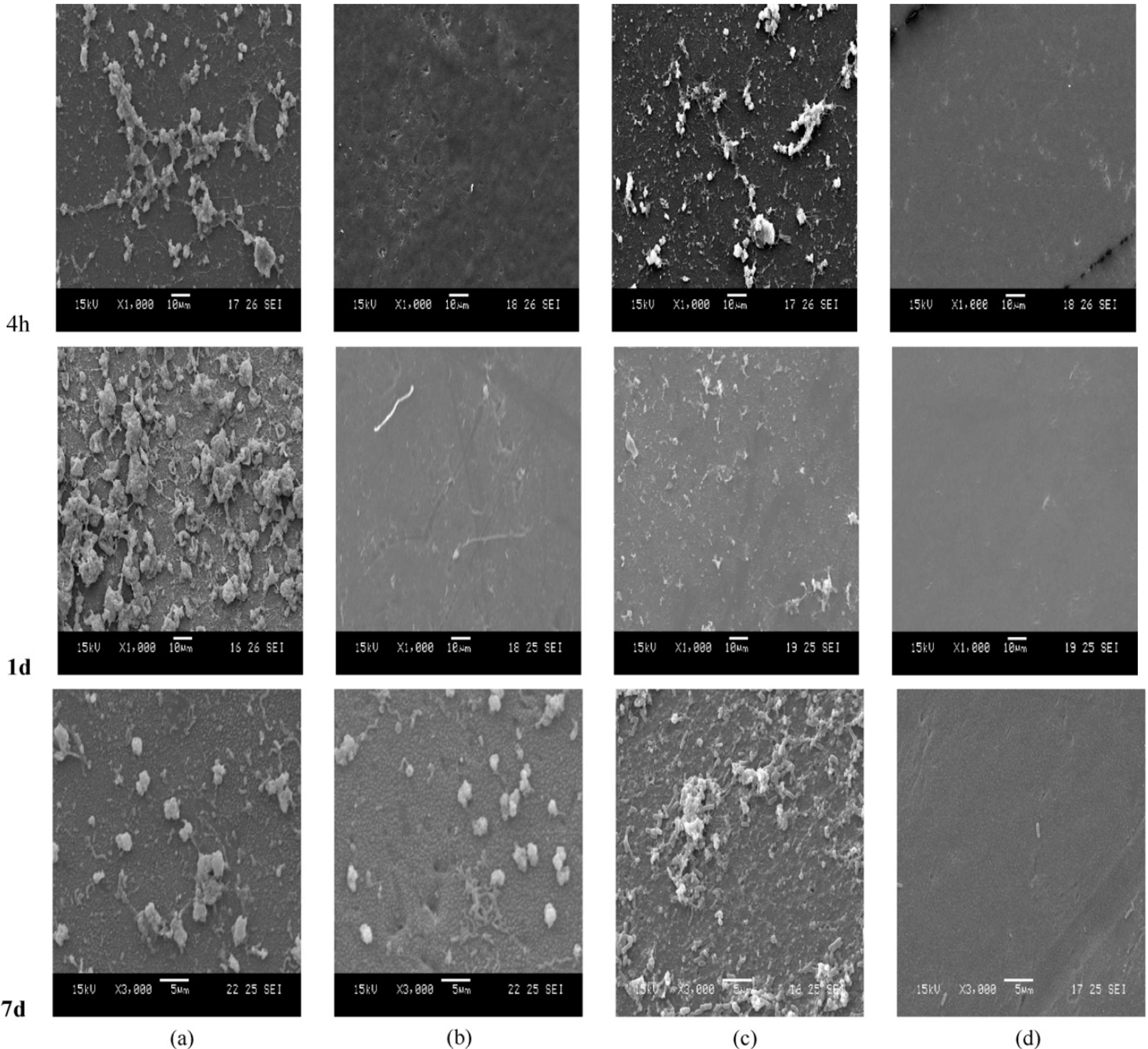 Processes 02 00795 g005