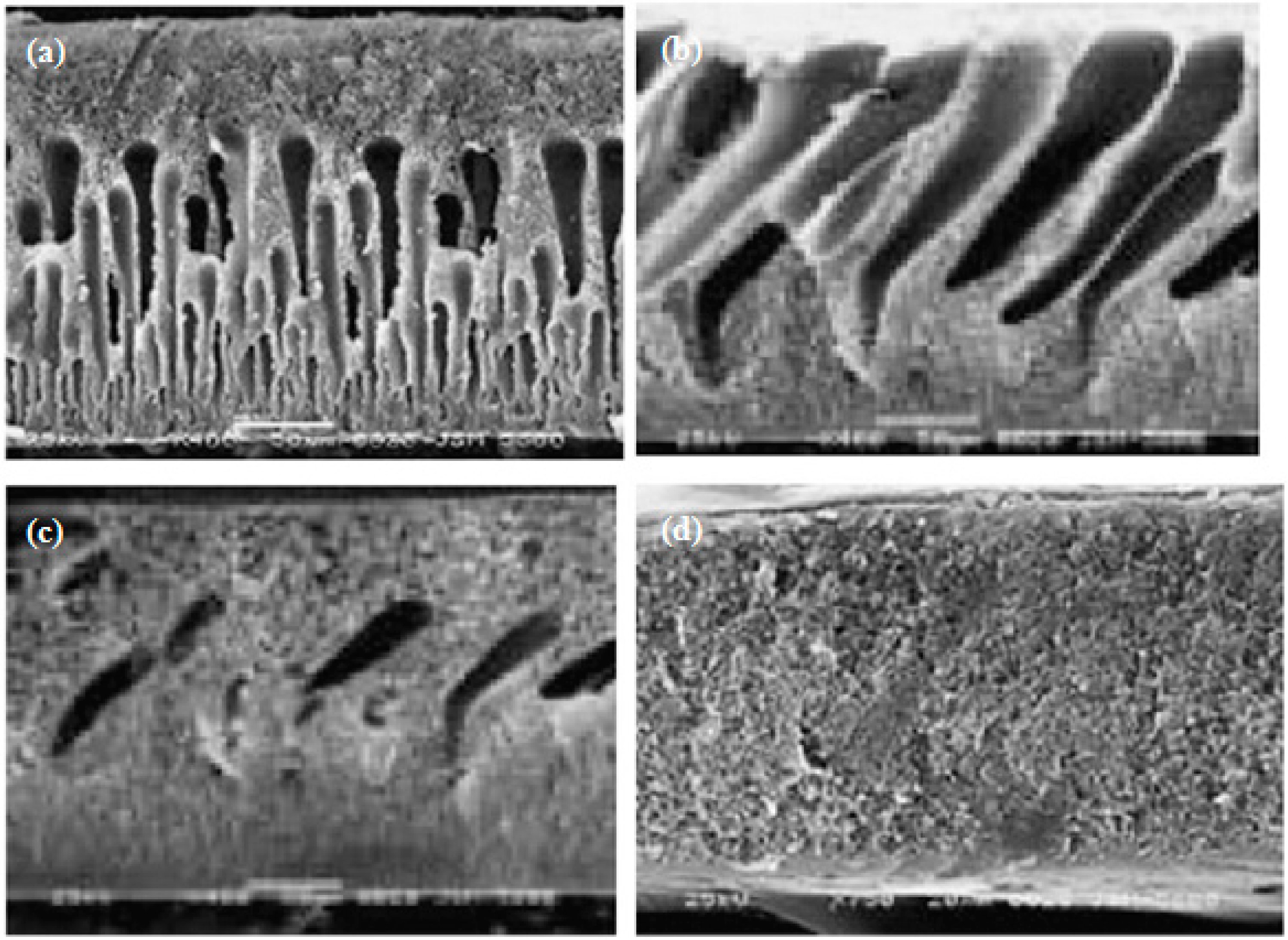 Processes 02 00795 g006