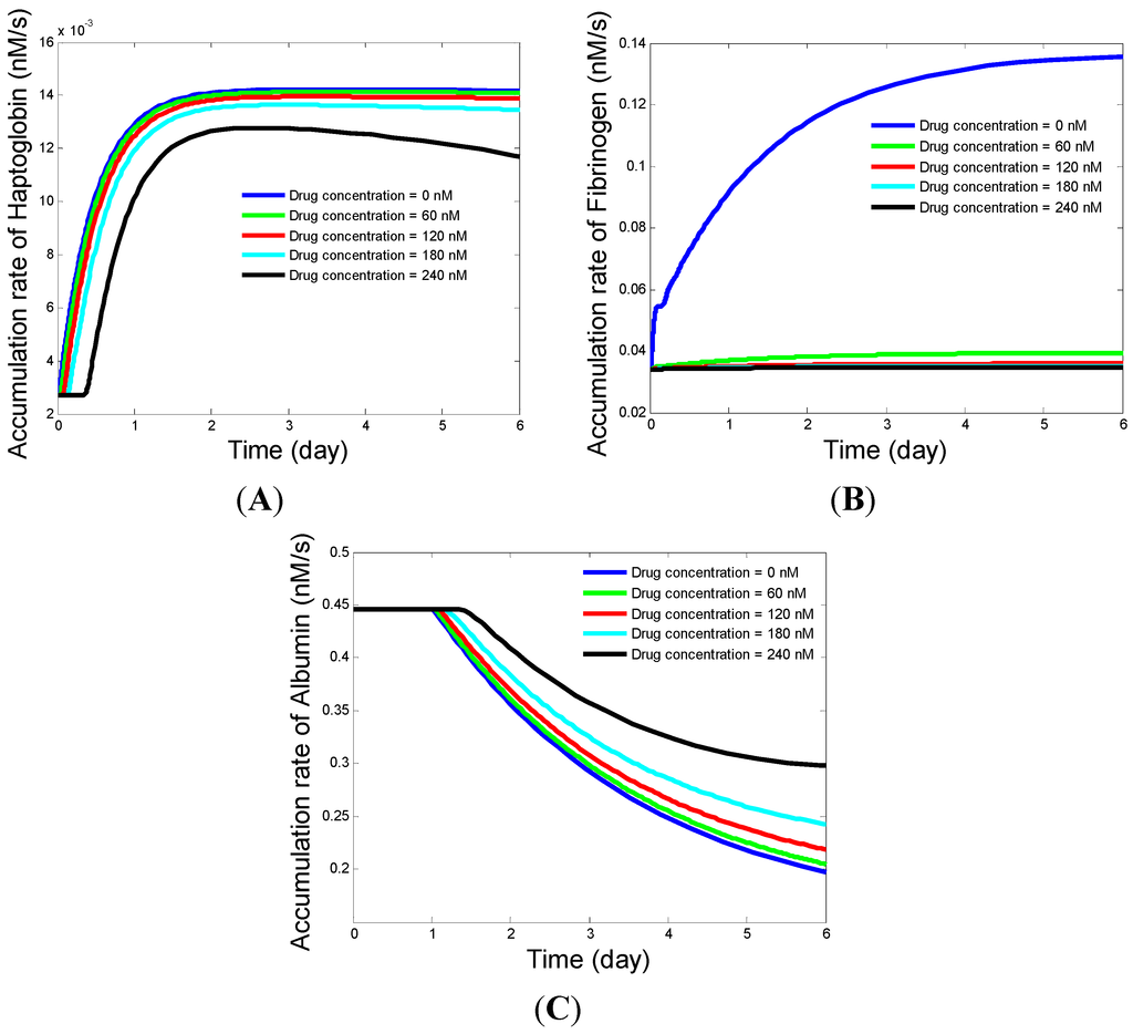 Modeling the Dynamics of Acute Phase Protein Expression in