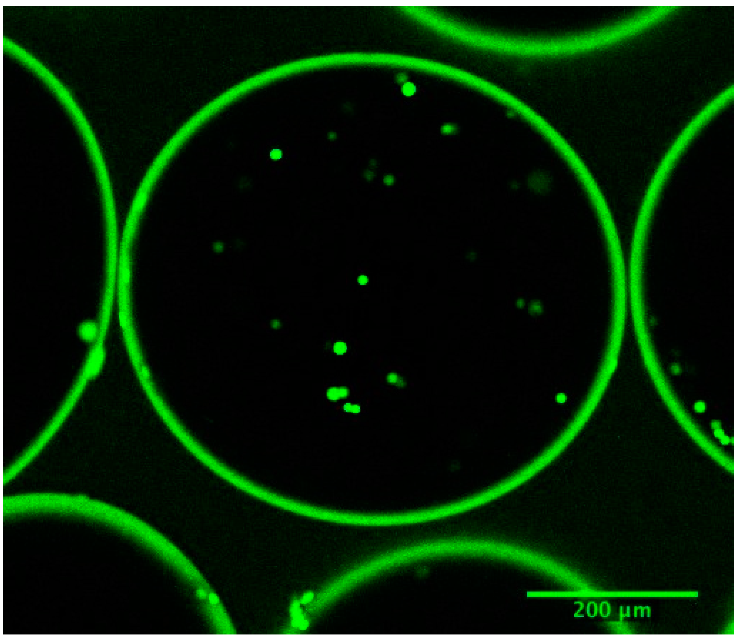 Processes 03 00384 g008 1024