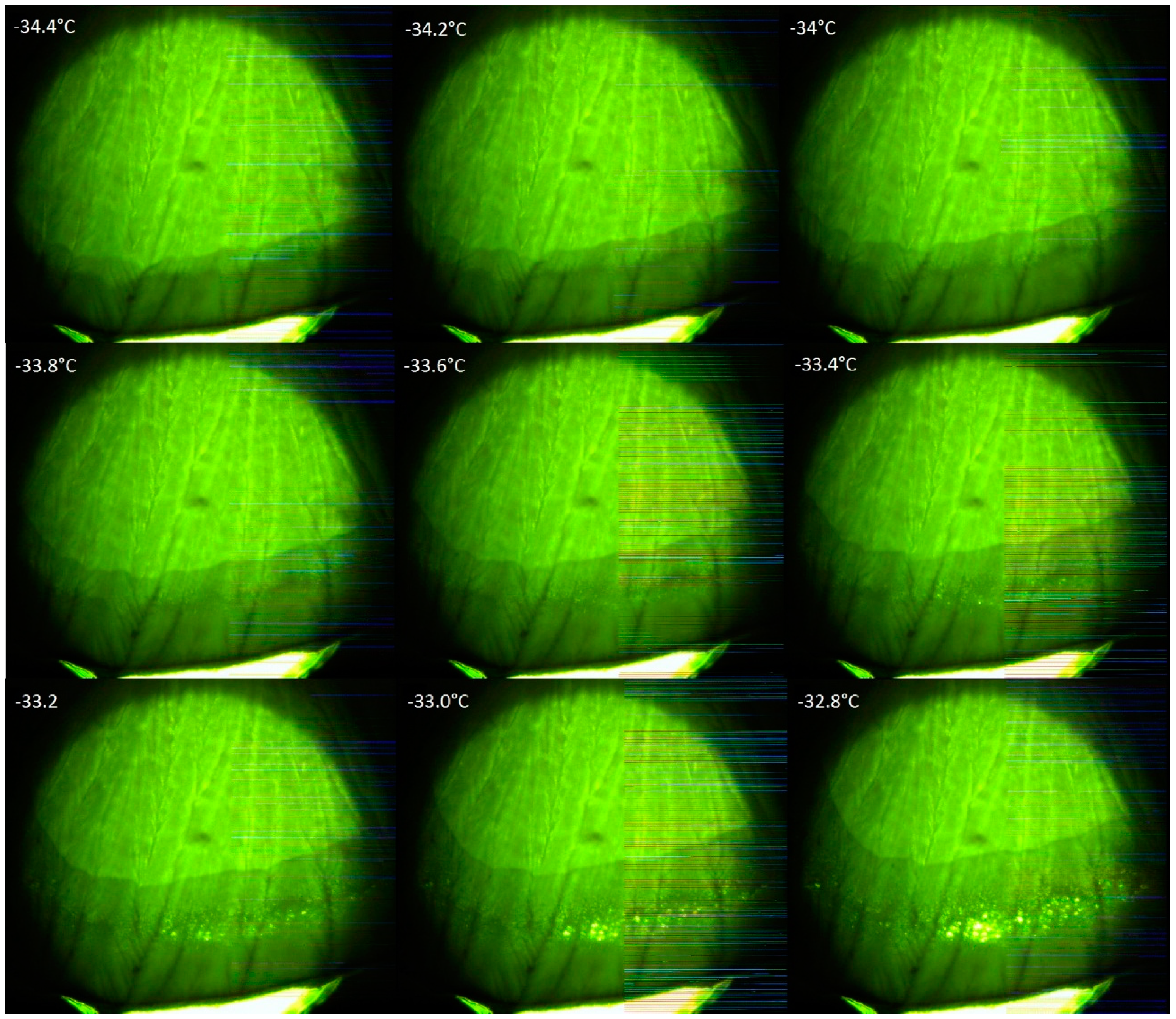 Processes 03 00406 g002 1024