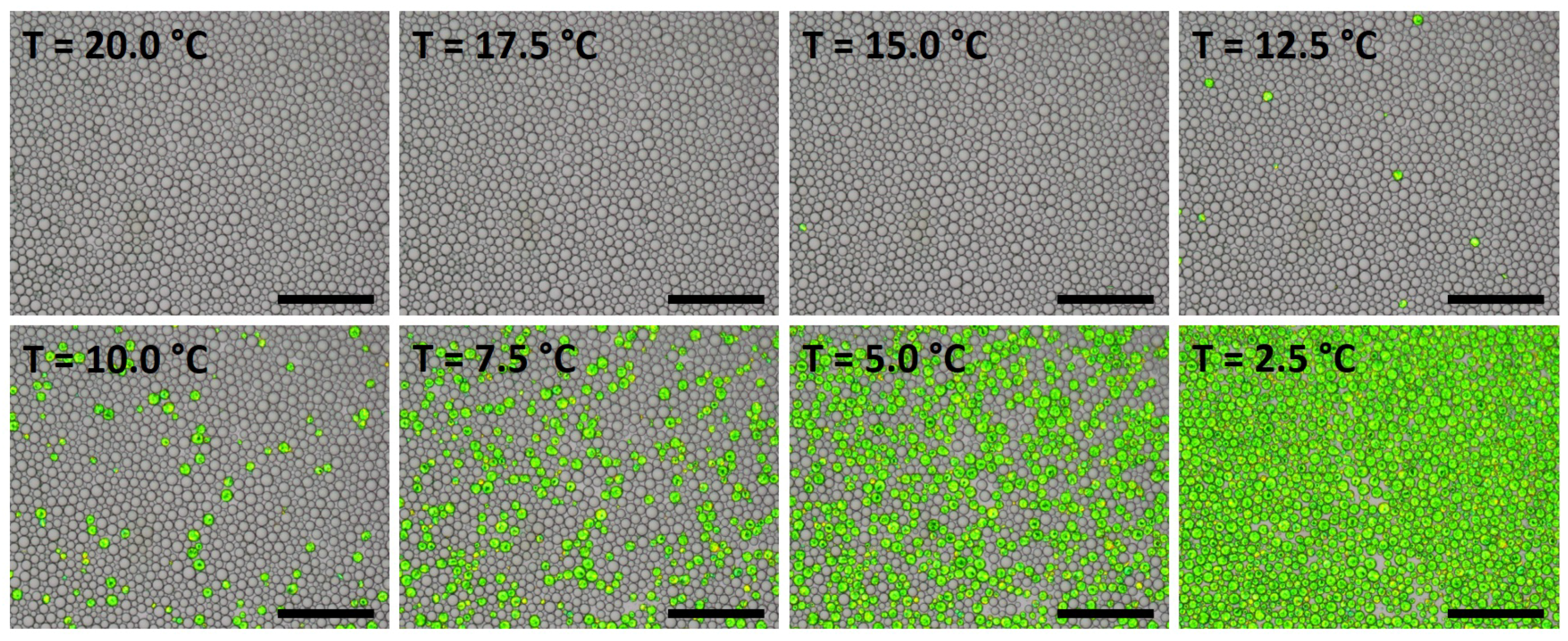 Processes 04 00025 g005