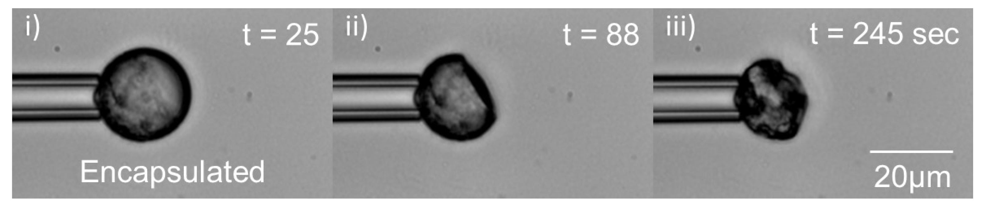 Processes 04 00049 g009