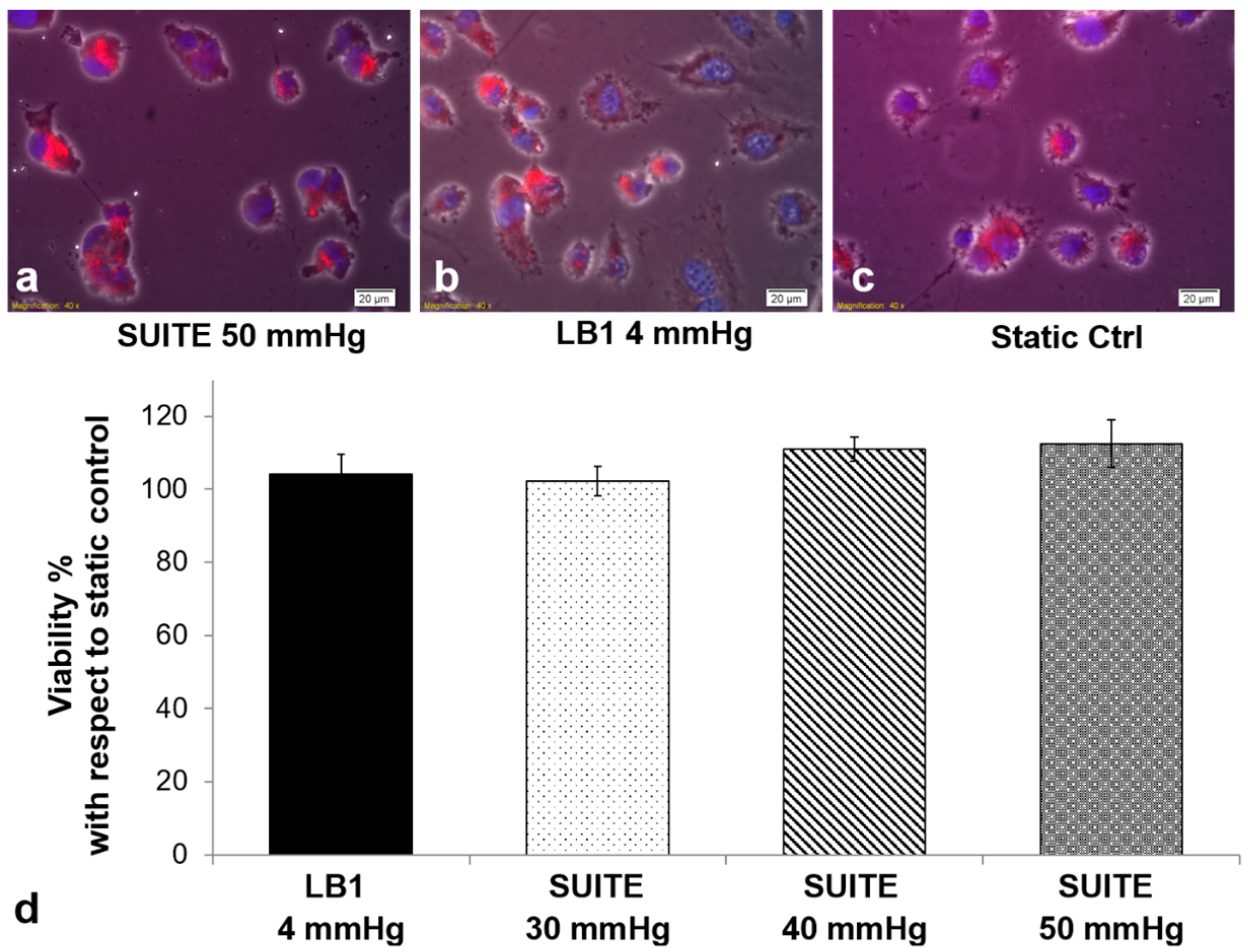 Processes 05 00016 g006