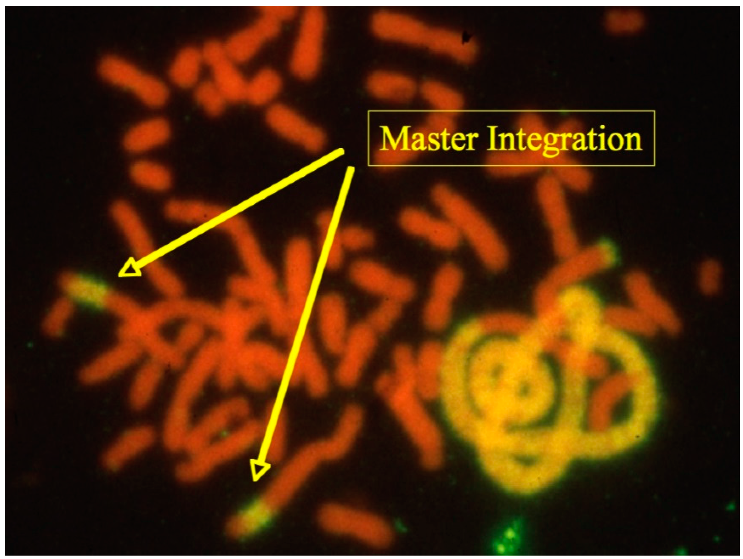 Processes 05 00020 g003 550
