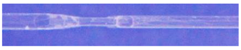 Processes 05 00057 i012 Processes 05 00057 i012