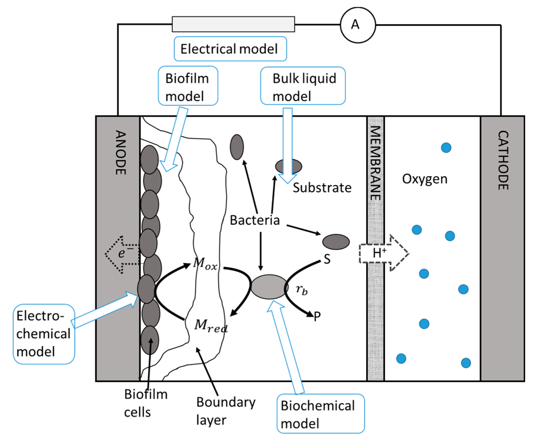 Processes 05 00073 g008 550
