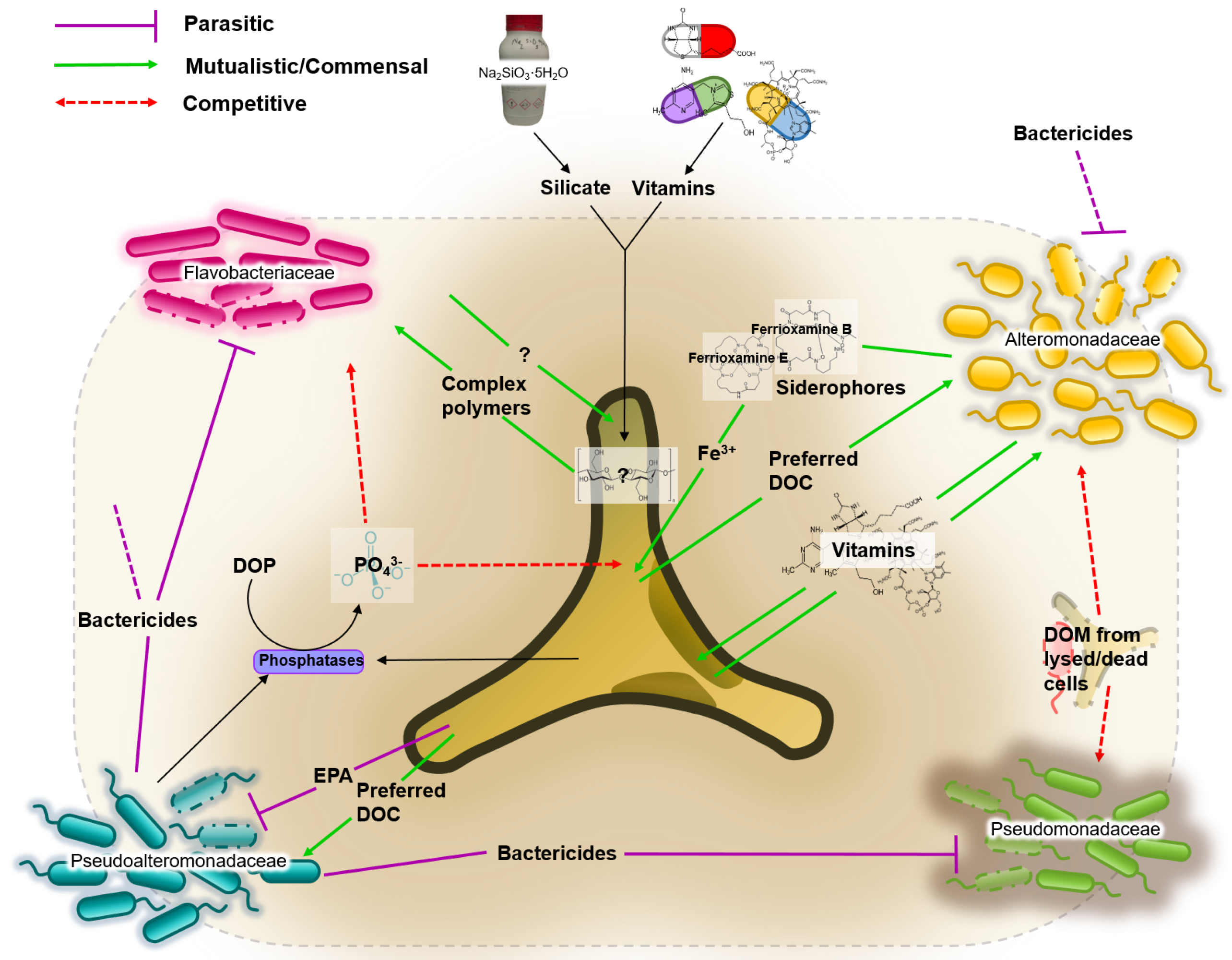 Processes 05 00077 g003 Processes 05 00077 g003