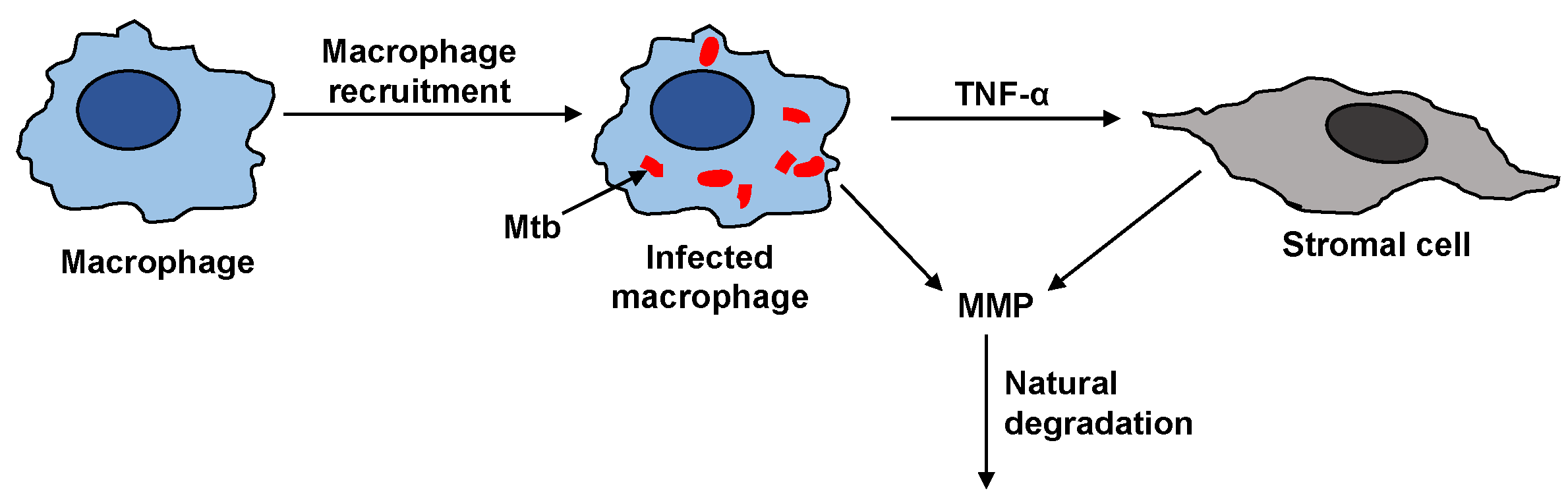 Processes 05 00079 g002