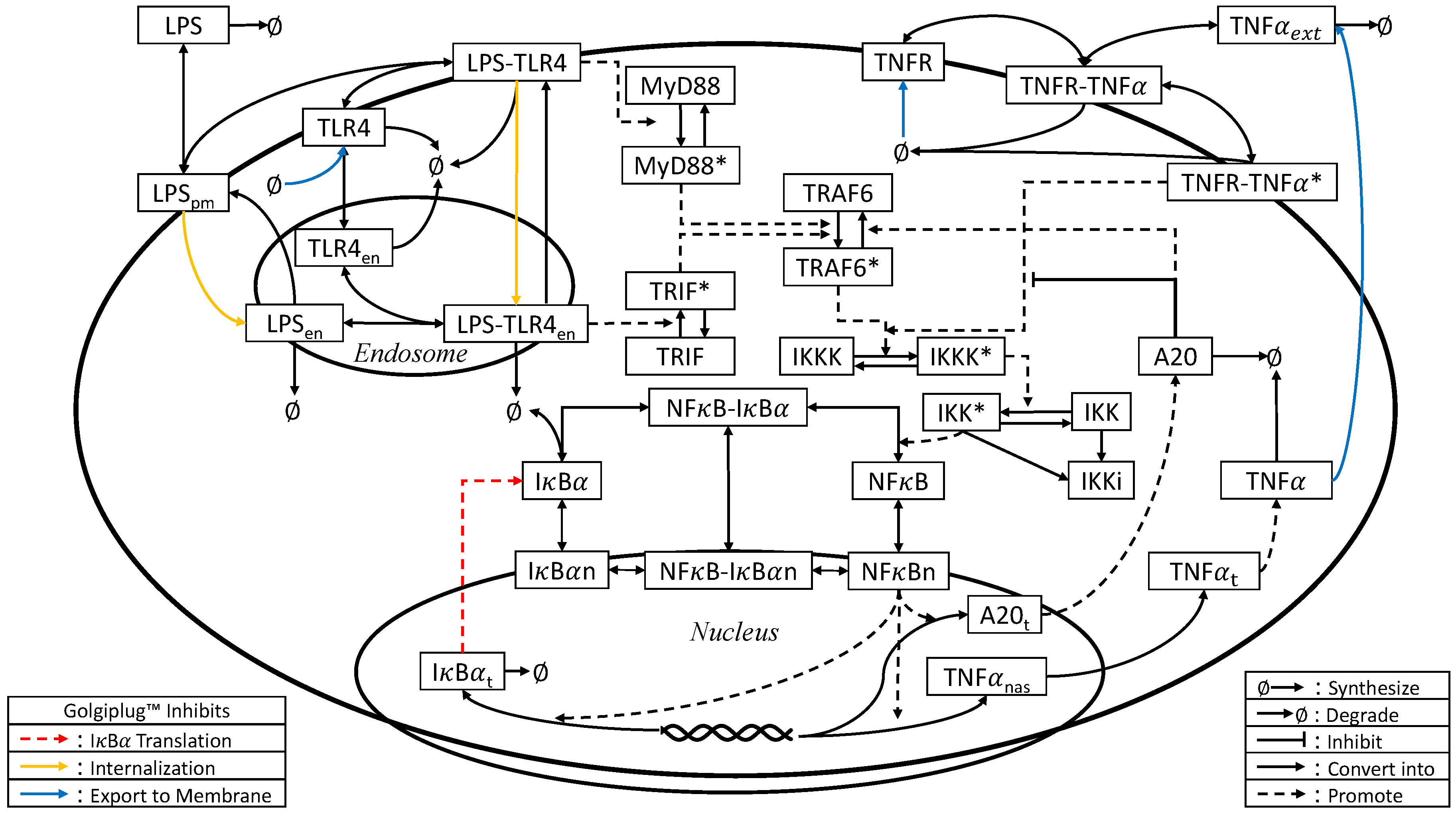 Processes 06 00021 g001