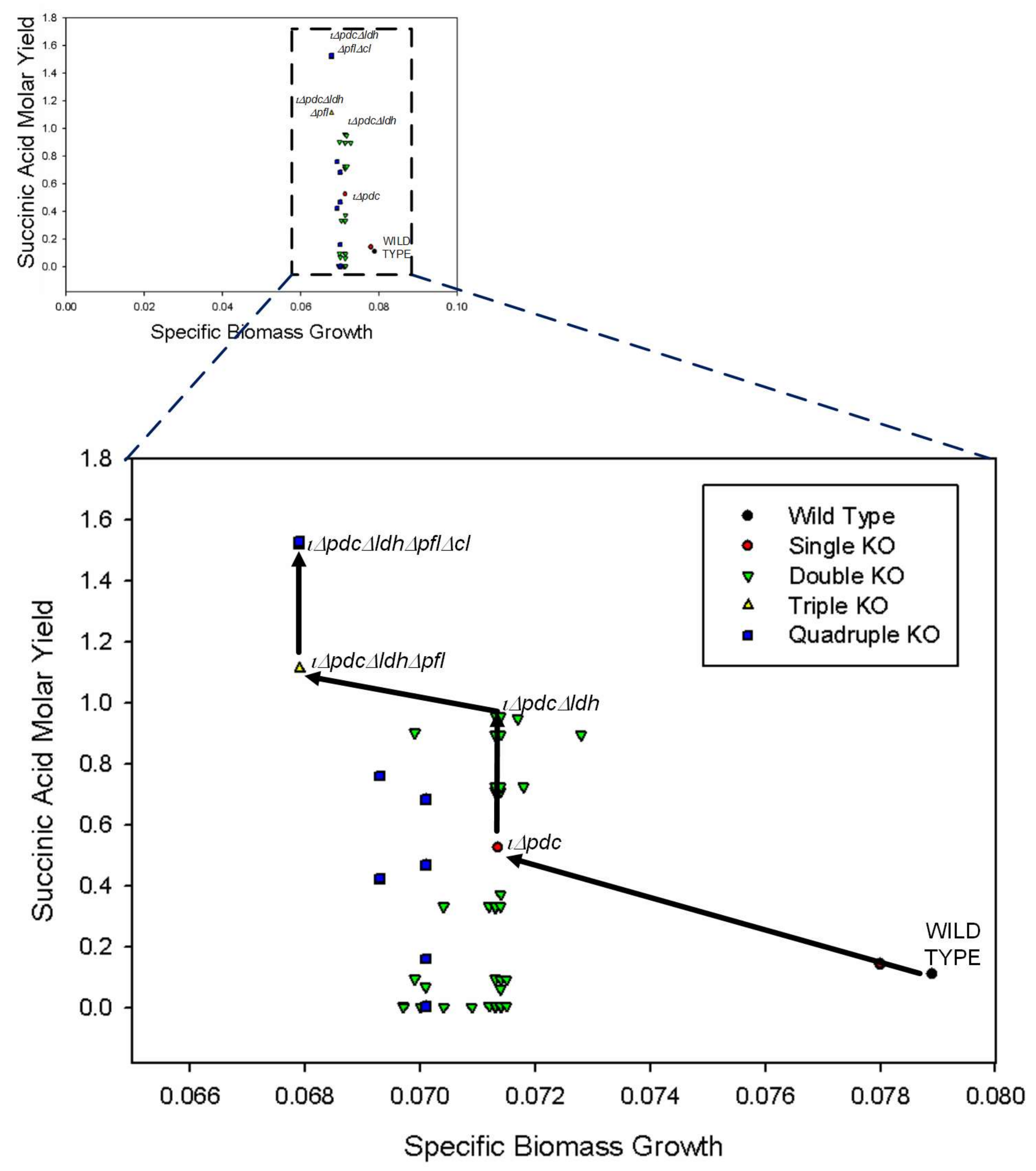 Processes 06 00030 g002