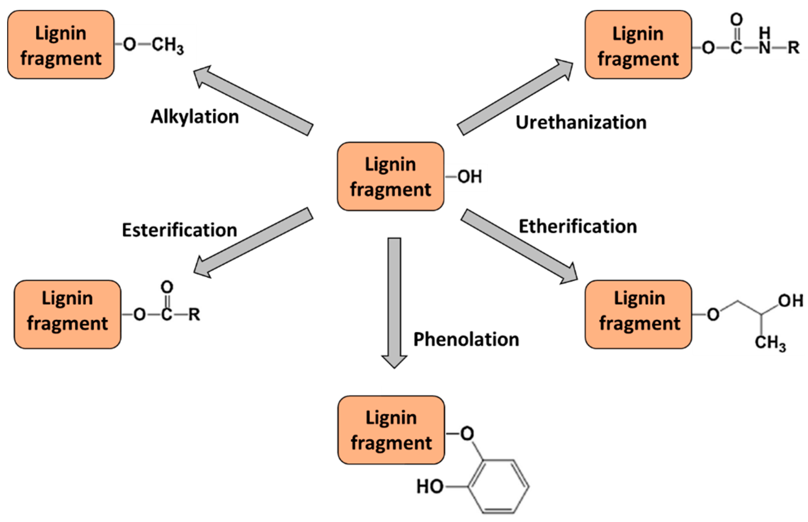 Processes 06 00098 g007