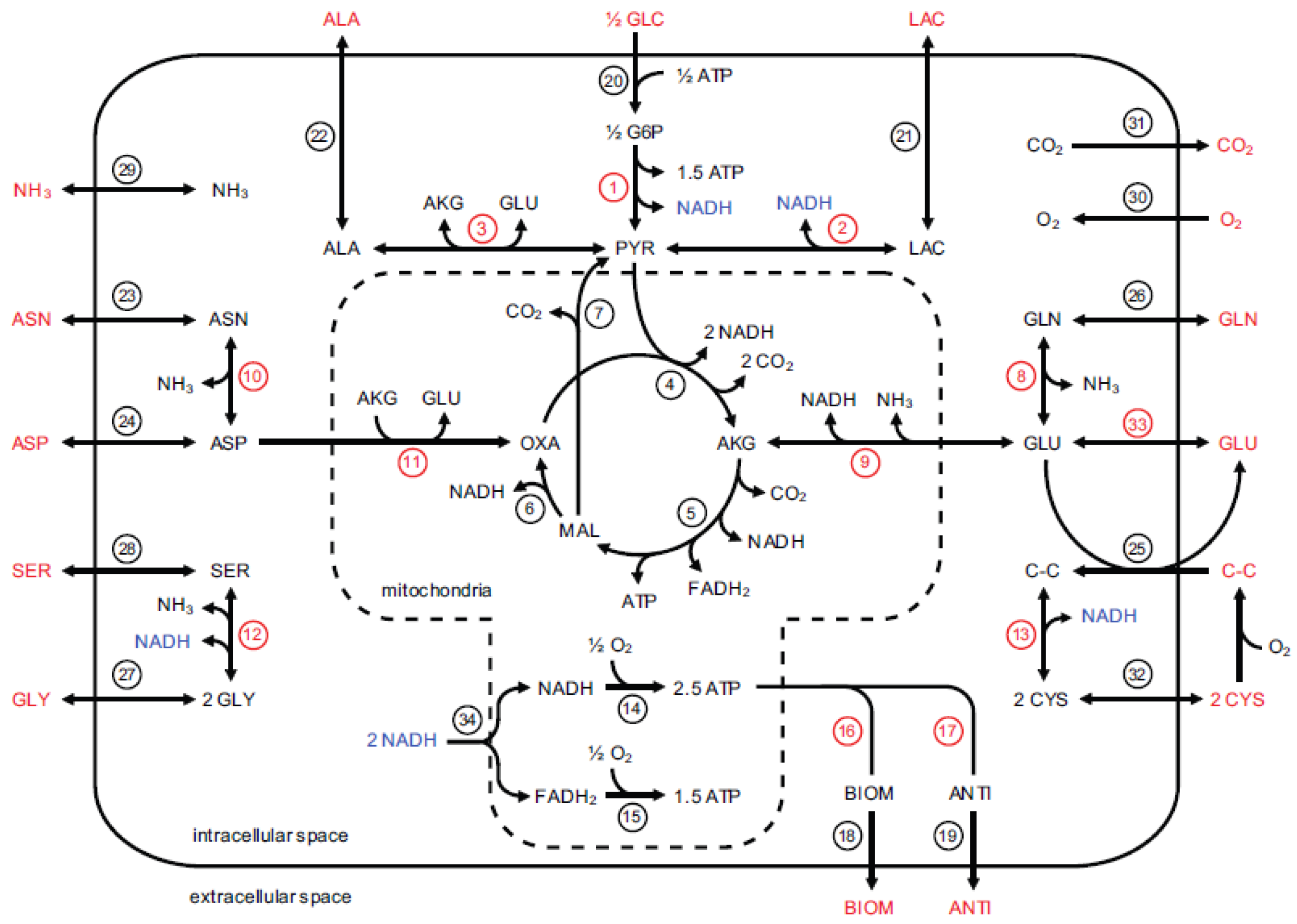 Processes 06 00100 g001