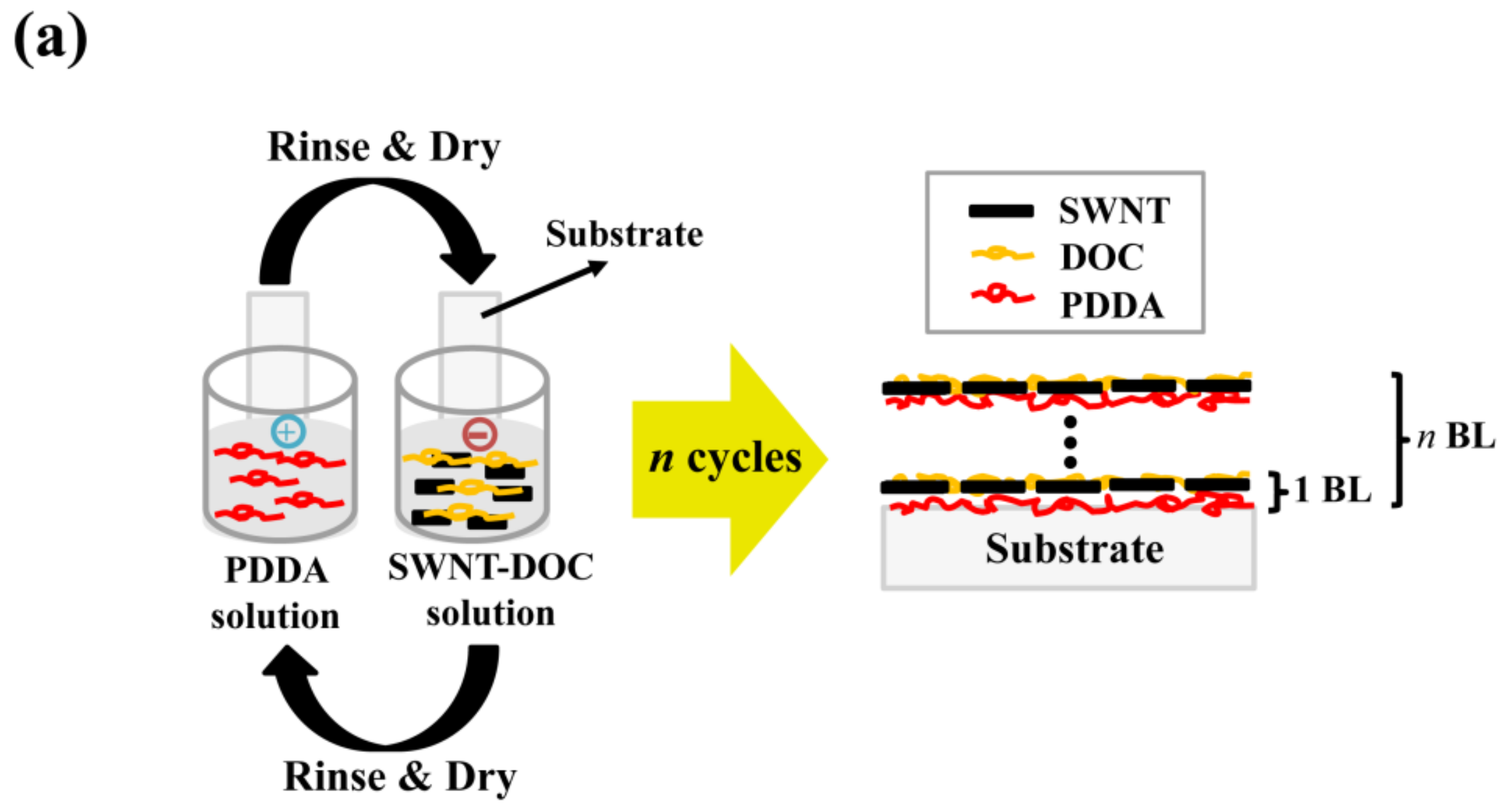 Processes 06 00108 g001a
