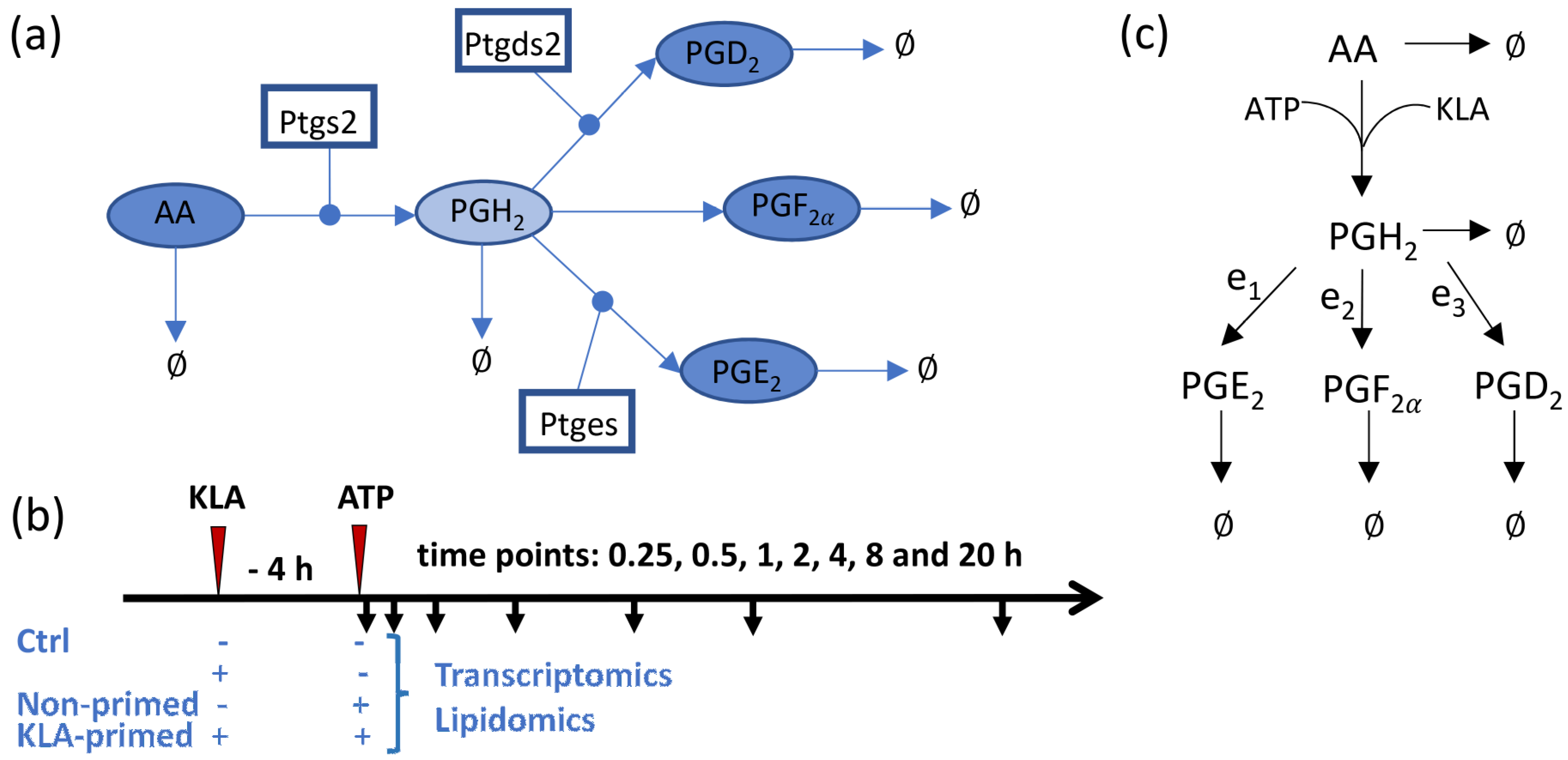 Processes 06 00126 g001