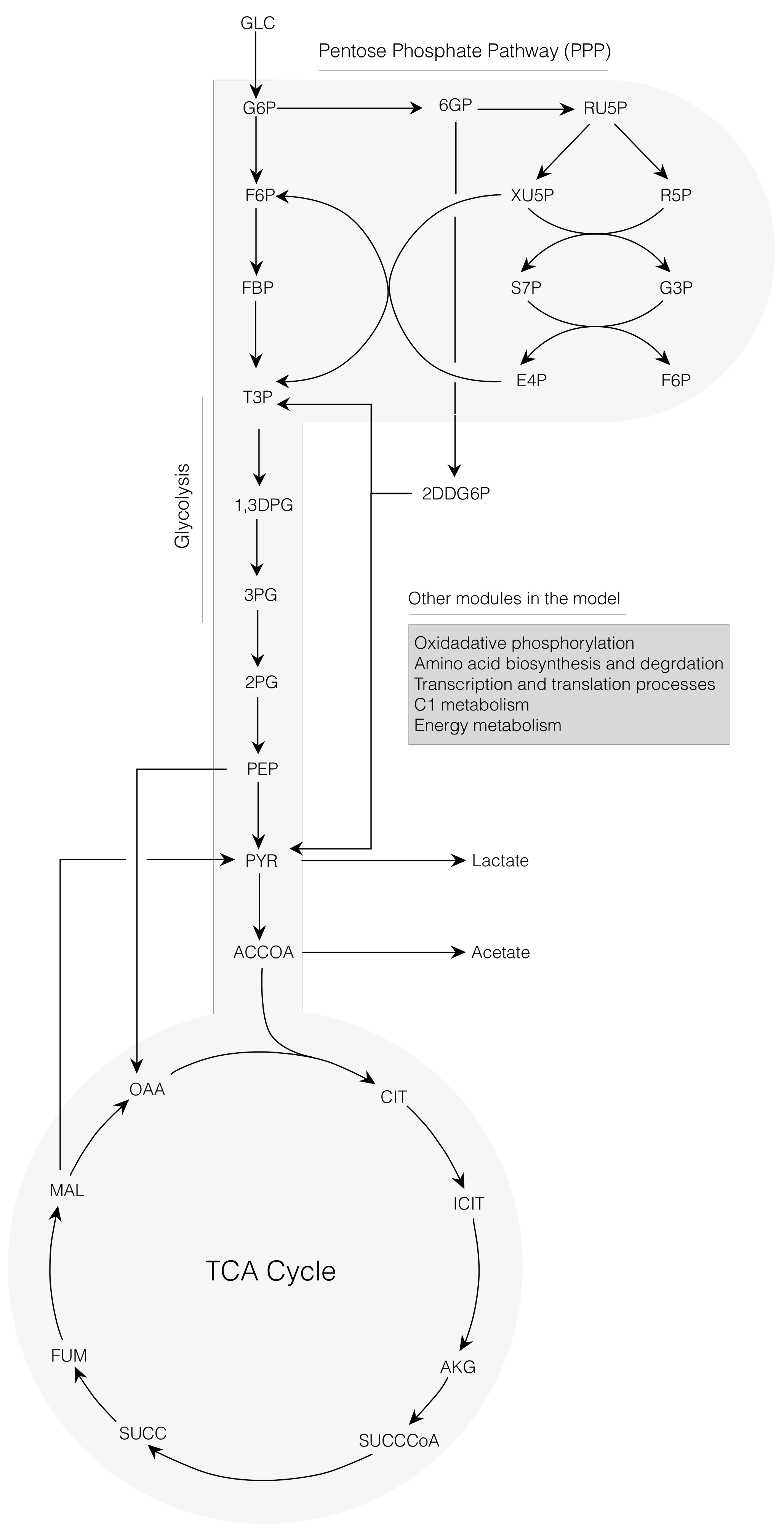 Processes 06 00132 g001