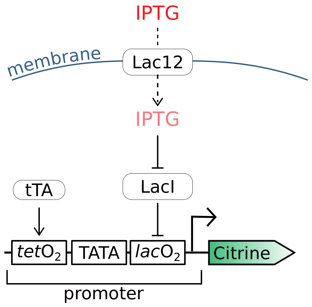 Processes 06 00148 g001 Processes 06 00148 g001
