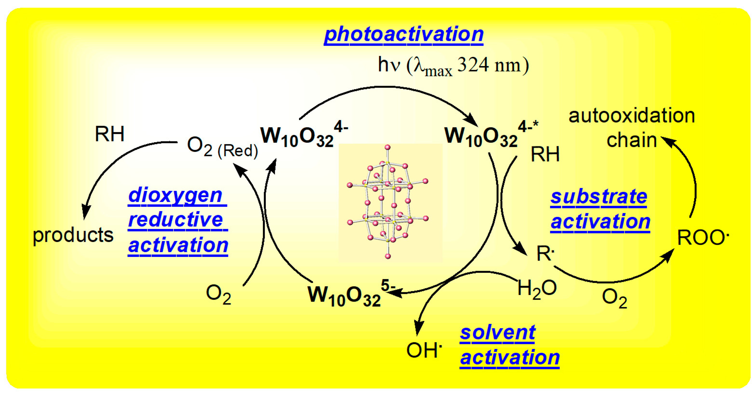 Processes 06 00162 g006