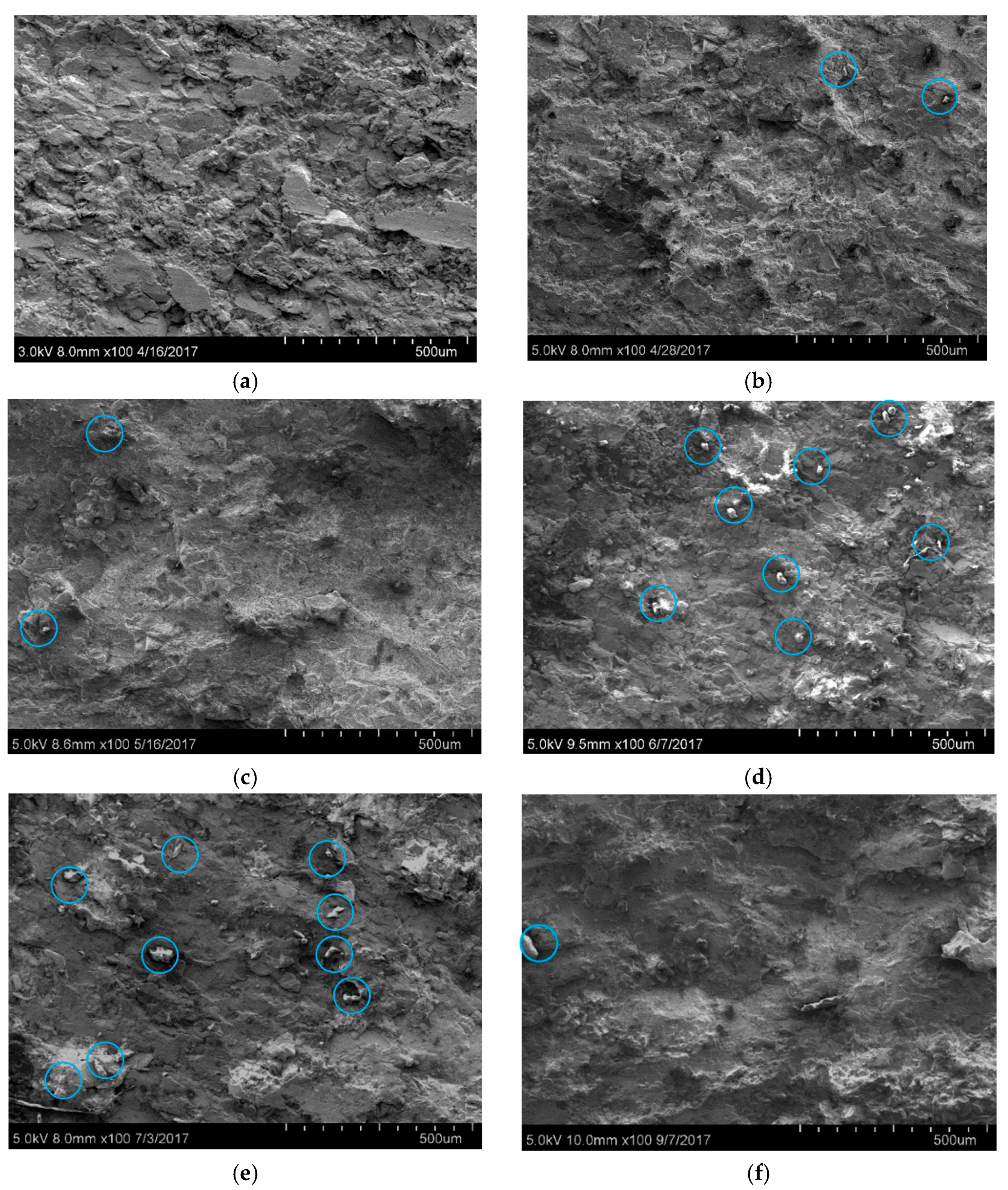 Processes 06 00199 g010