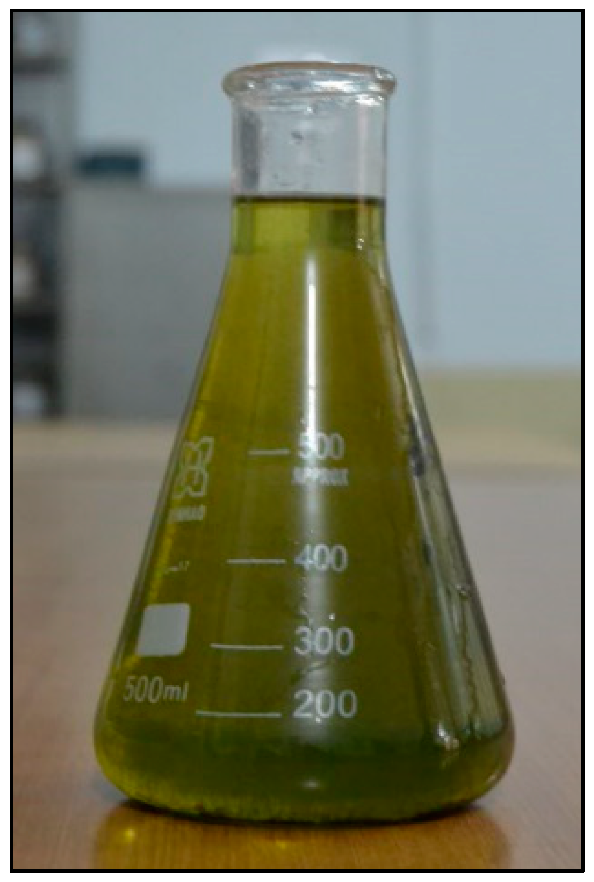 Processes 06 00203 g004