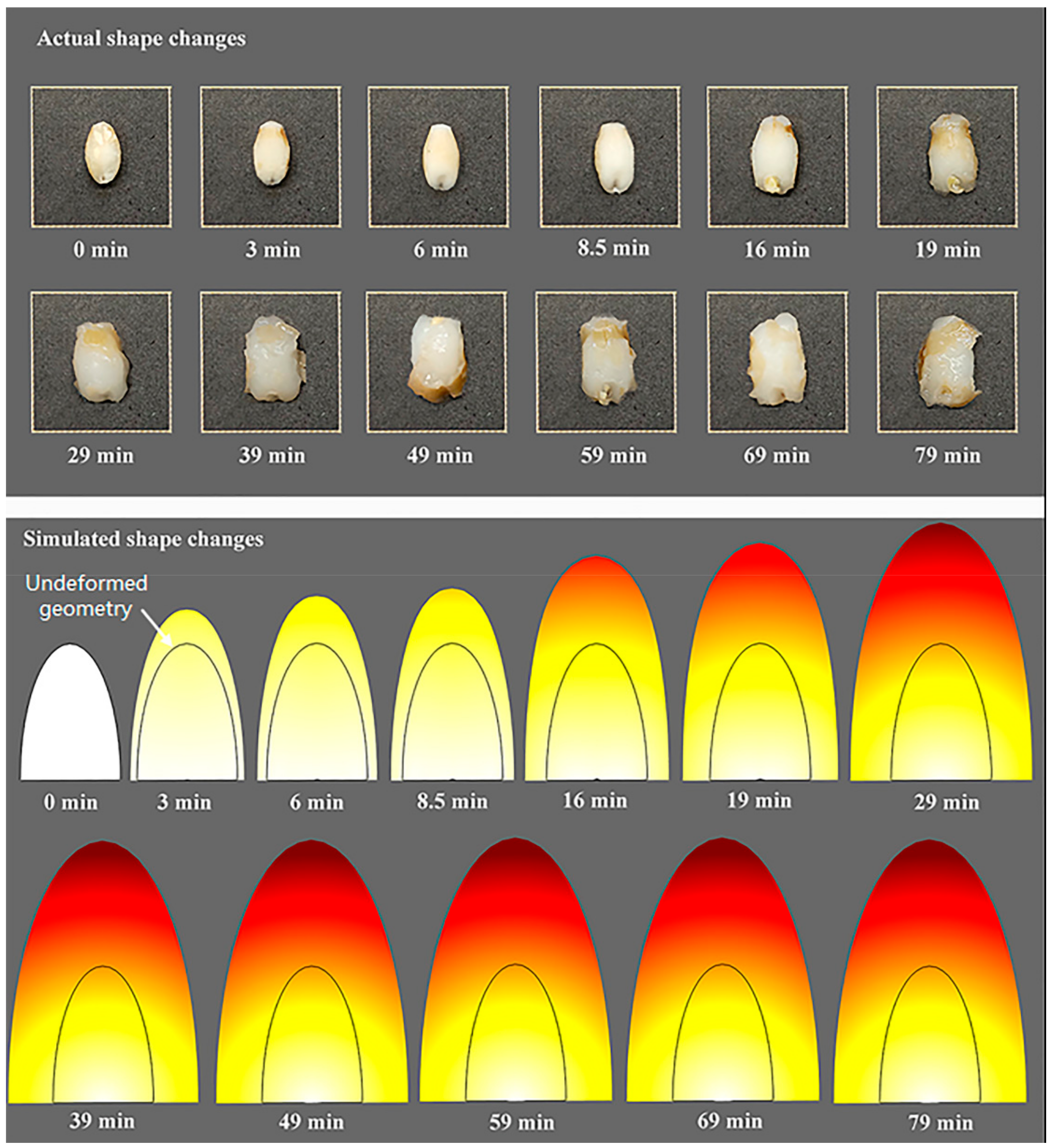 Processes 06 00230 g007