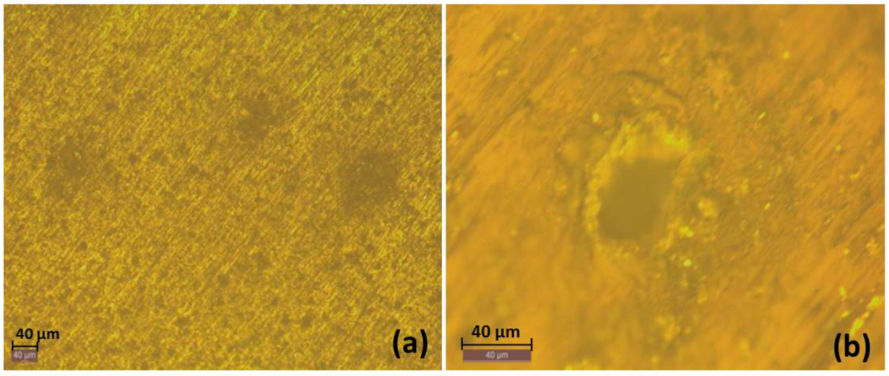 Processes 06 00240 g016 Processes 06 00240 g016