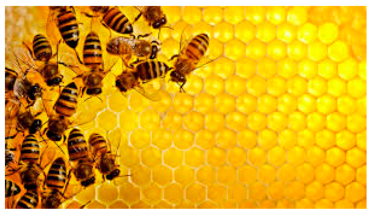 Processes 07 00004 g003 Processes 07 00004 g003