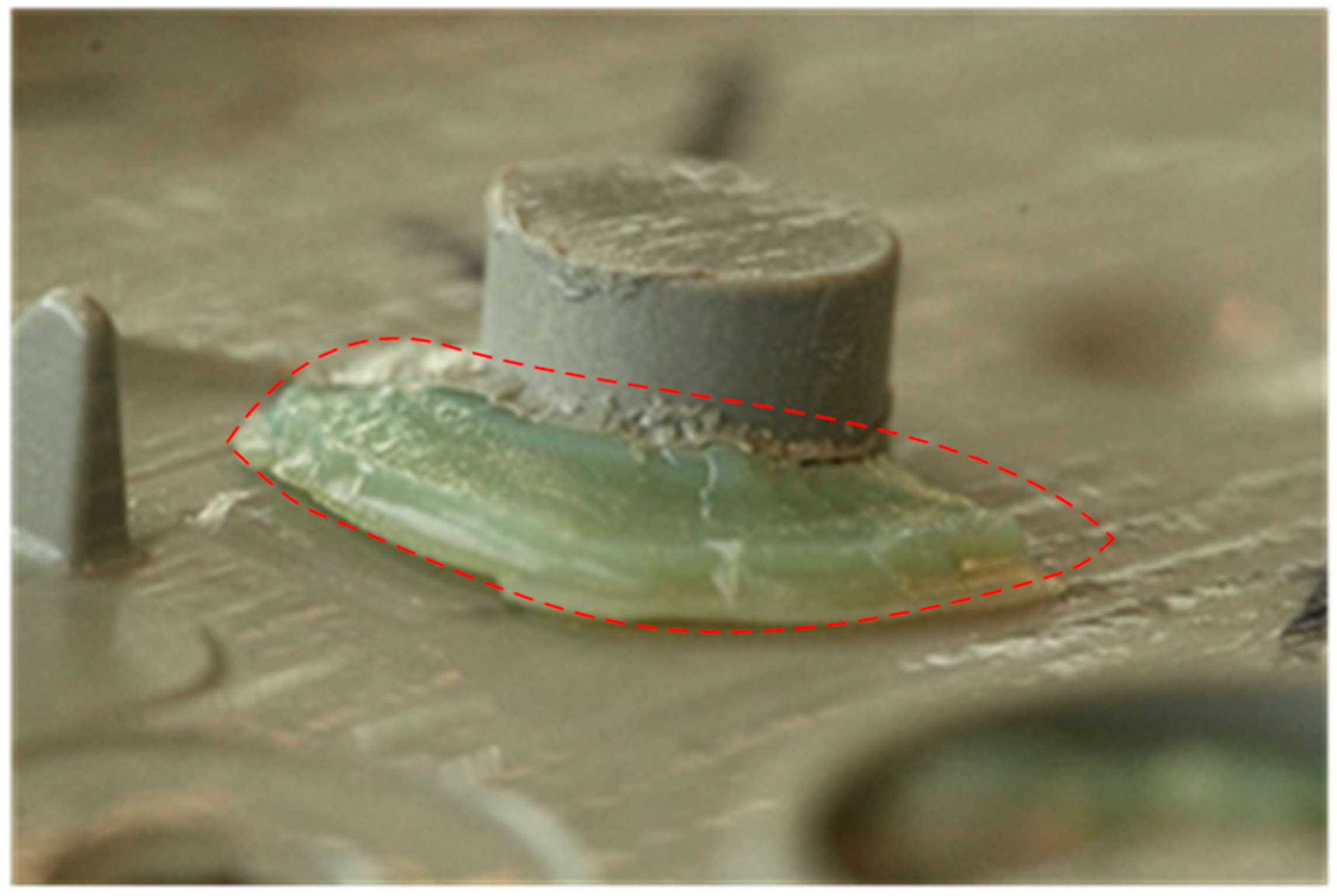 Processes 07 00017 g009