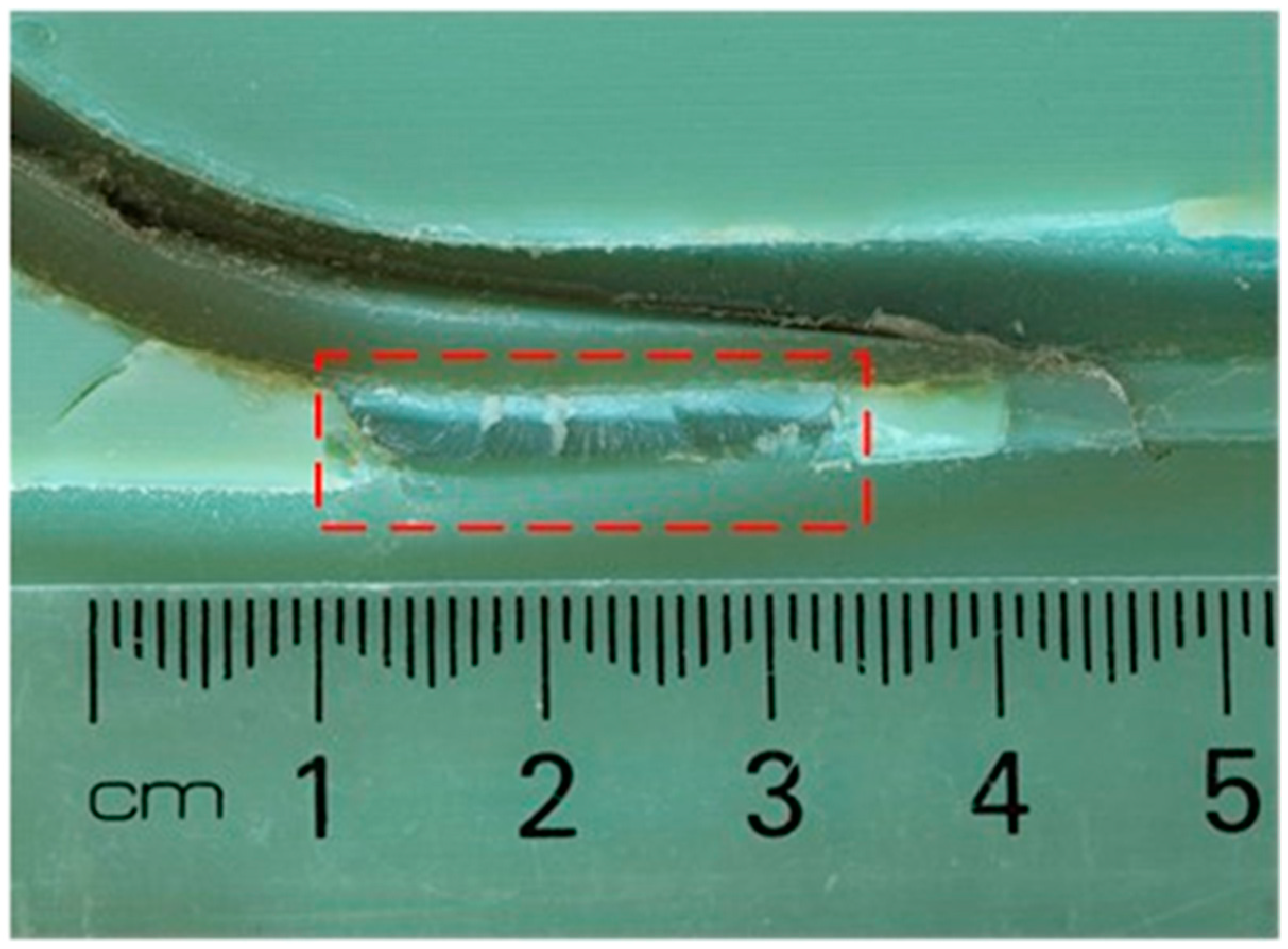 Processes 07 00017 g010