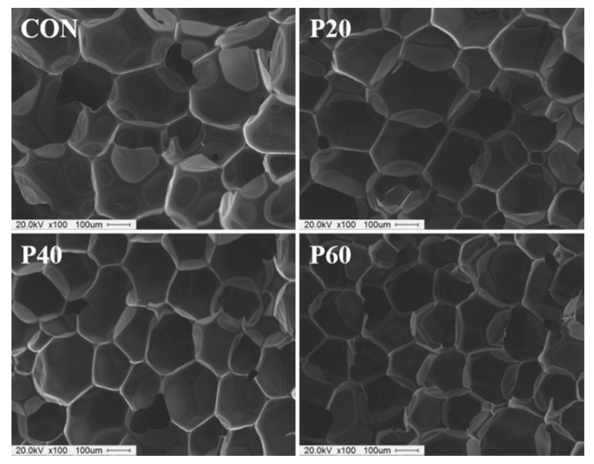 Processes 07 00022 g009 Processes 07 00022 g009