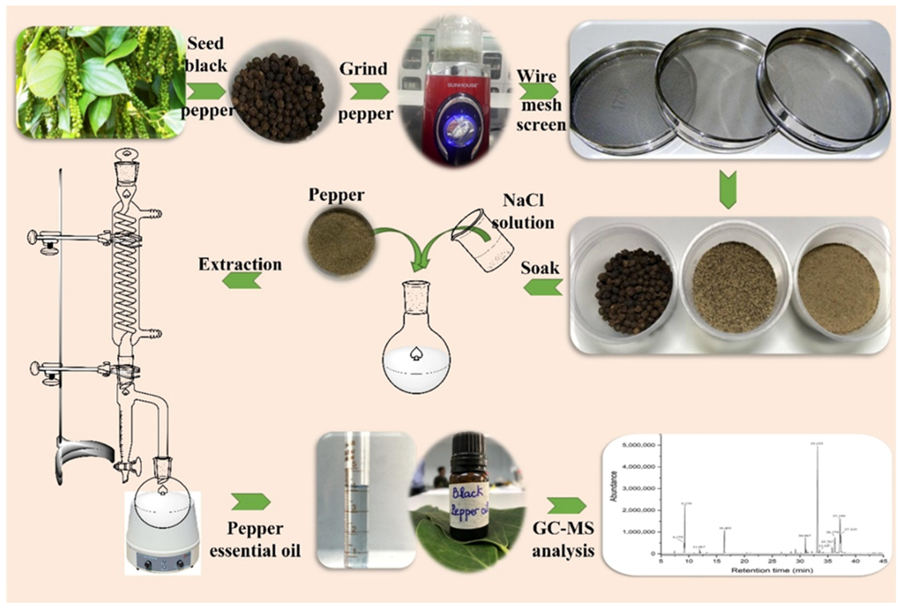 Clevenger Apparatus Essential Oil Extraction