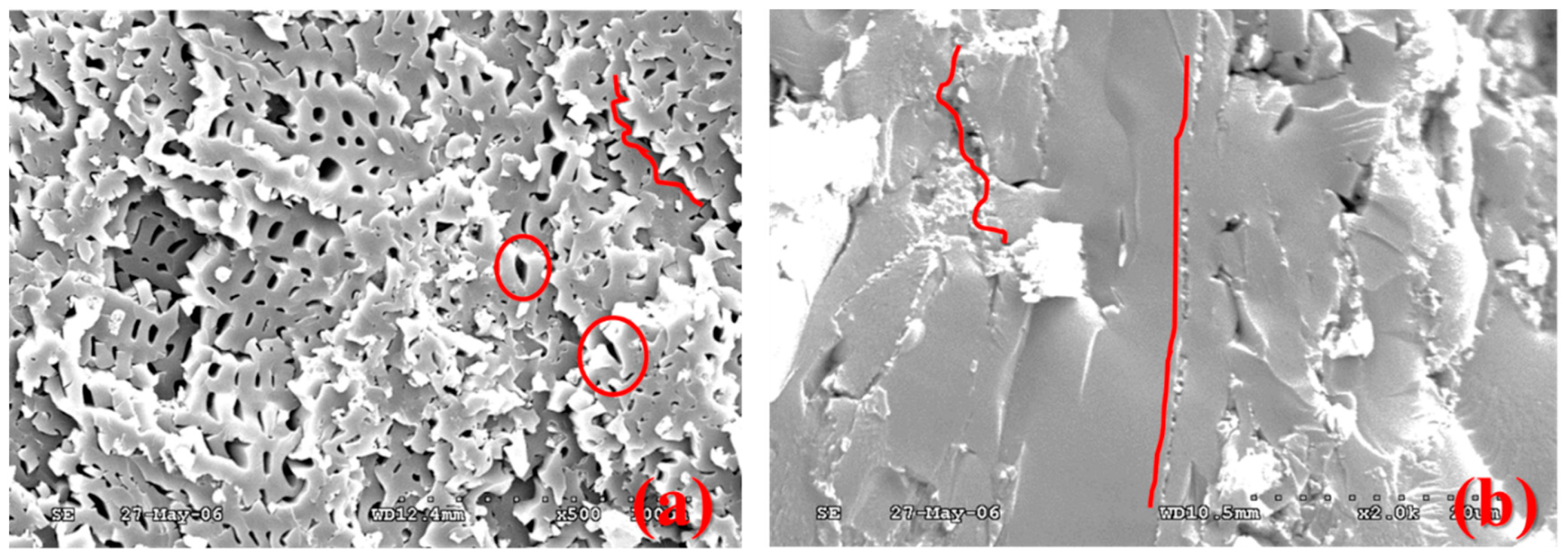 Processes 07 00072 g012