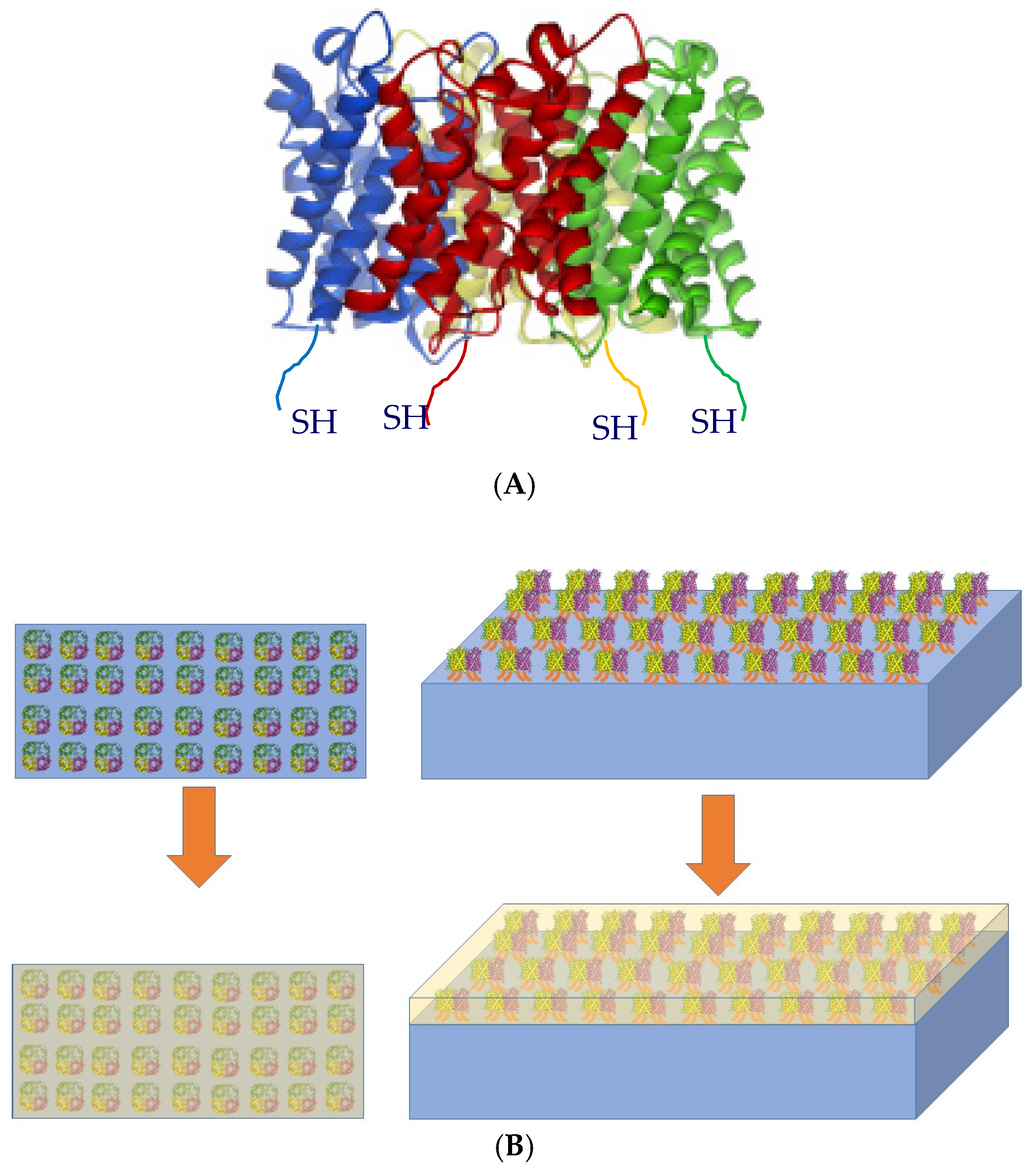Processes 07 00076 g001 Processes 07 00076 g001
