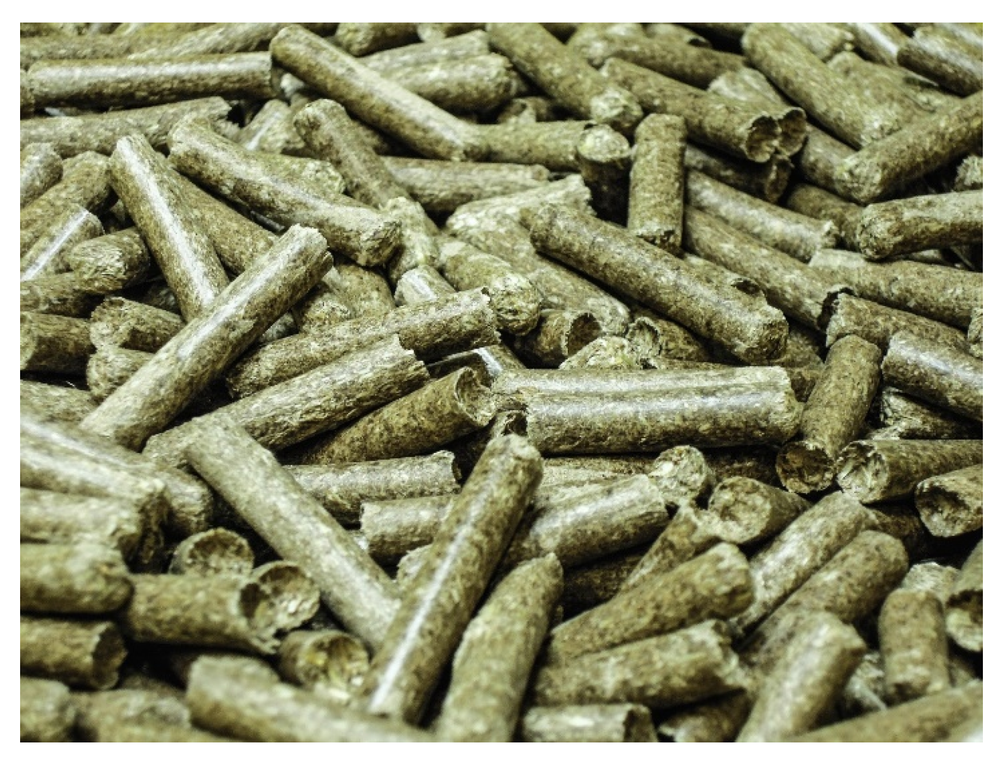 Processes 07 00101 g001 550