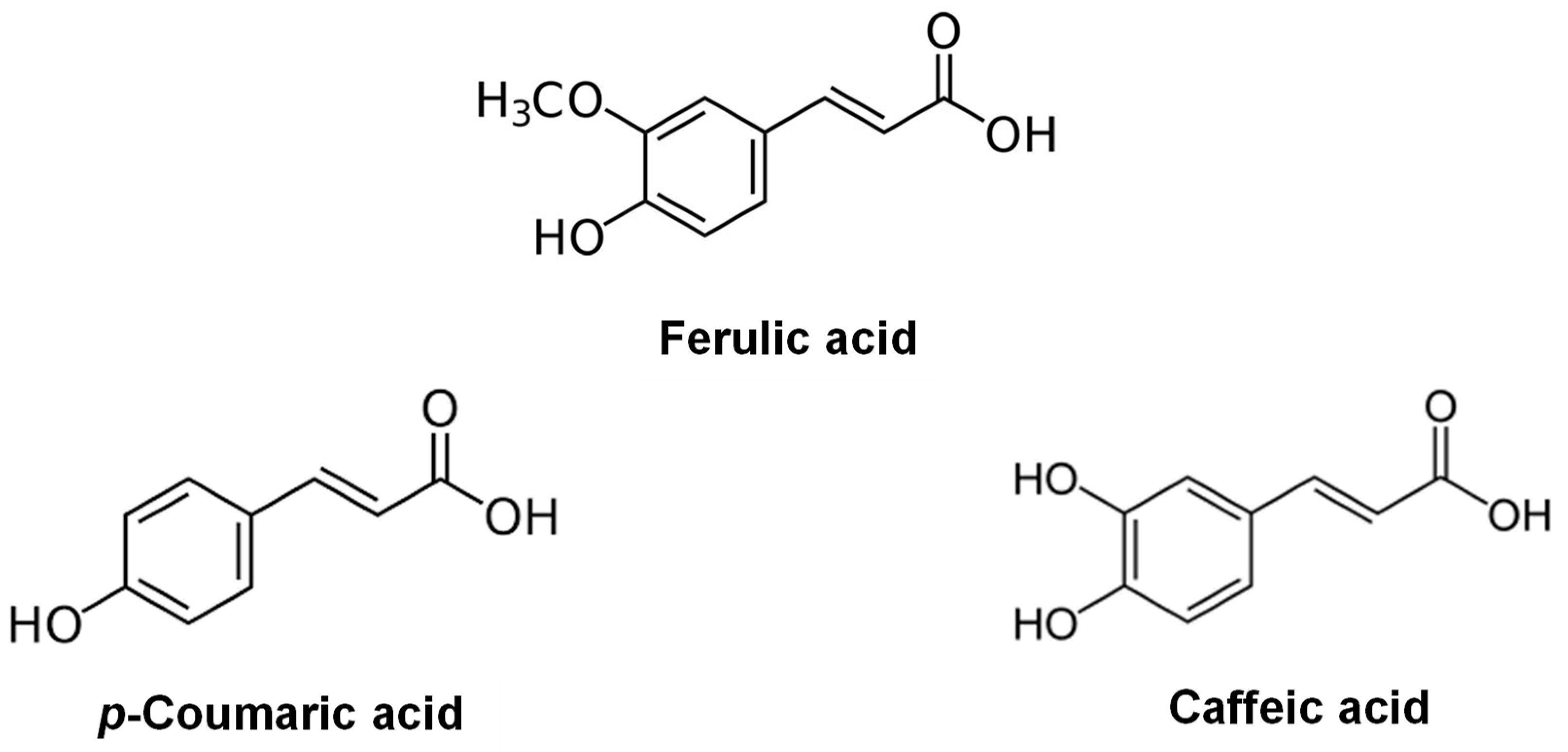 Processes 07 00126 g004 Processes 07 00126 g004
