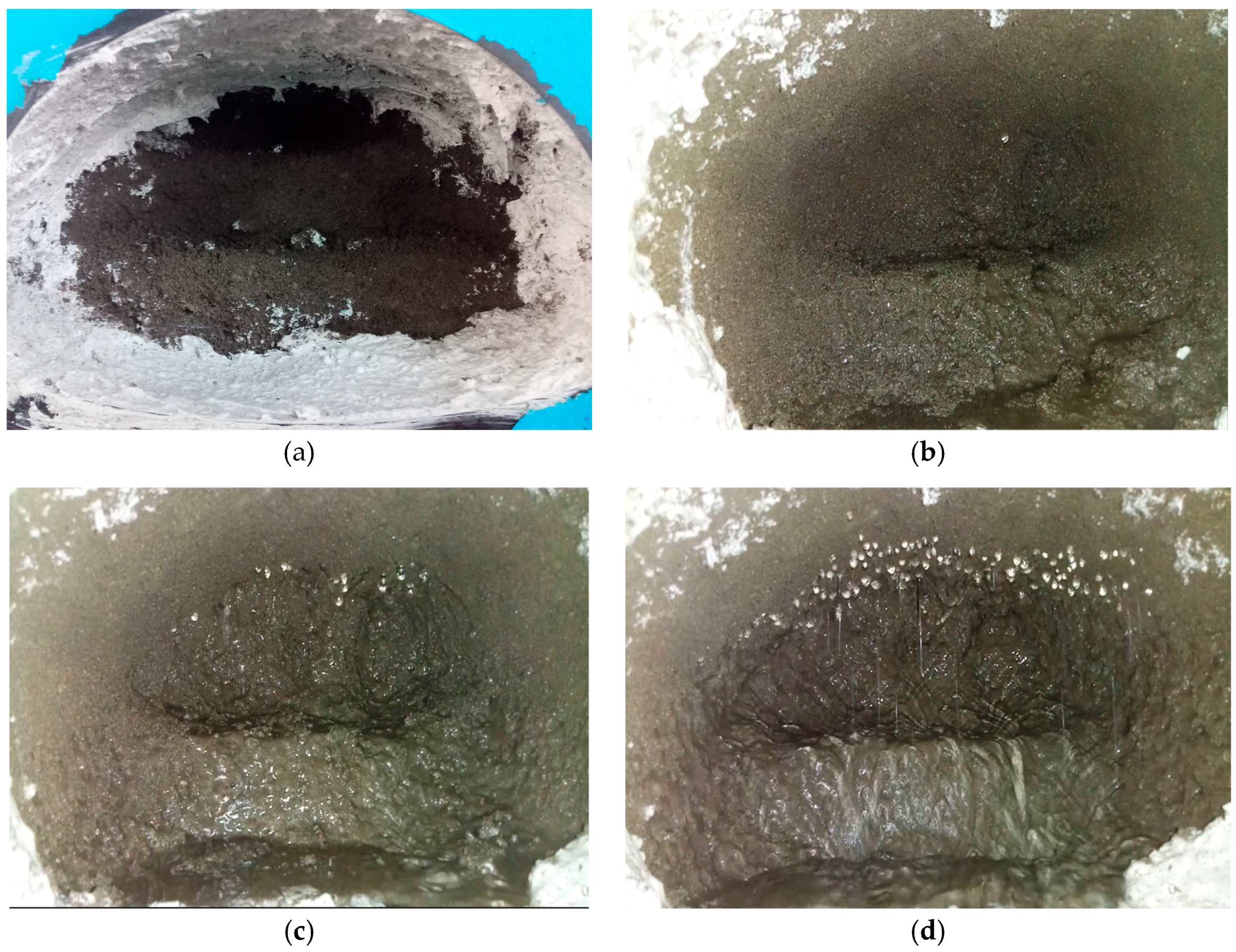 Processes 07 00134 g007