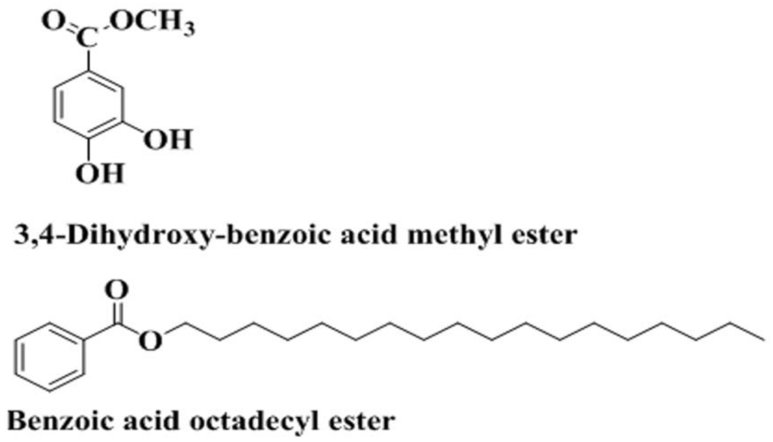 Processes 07 00208 g001 Processes 07 00208 g001