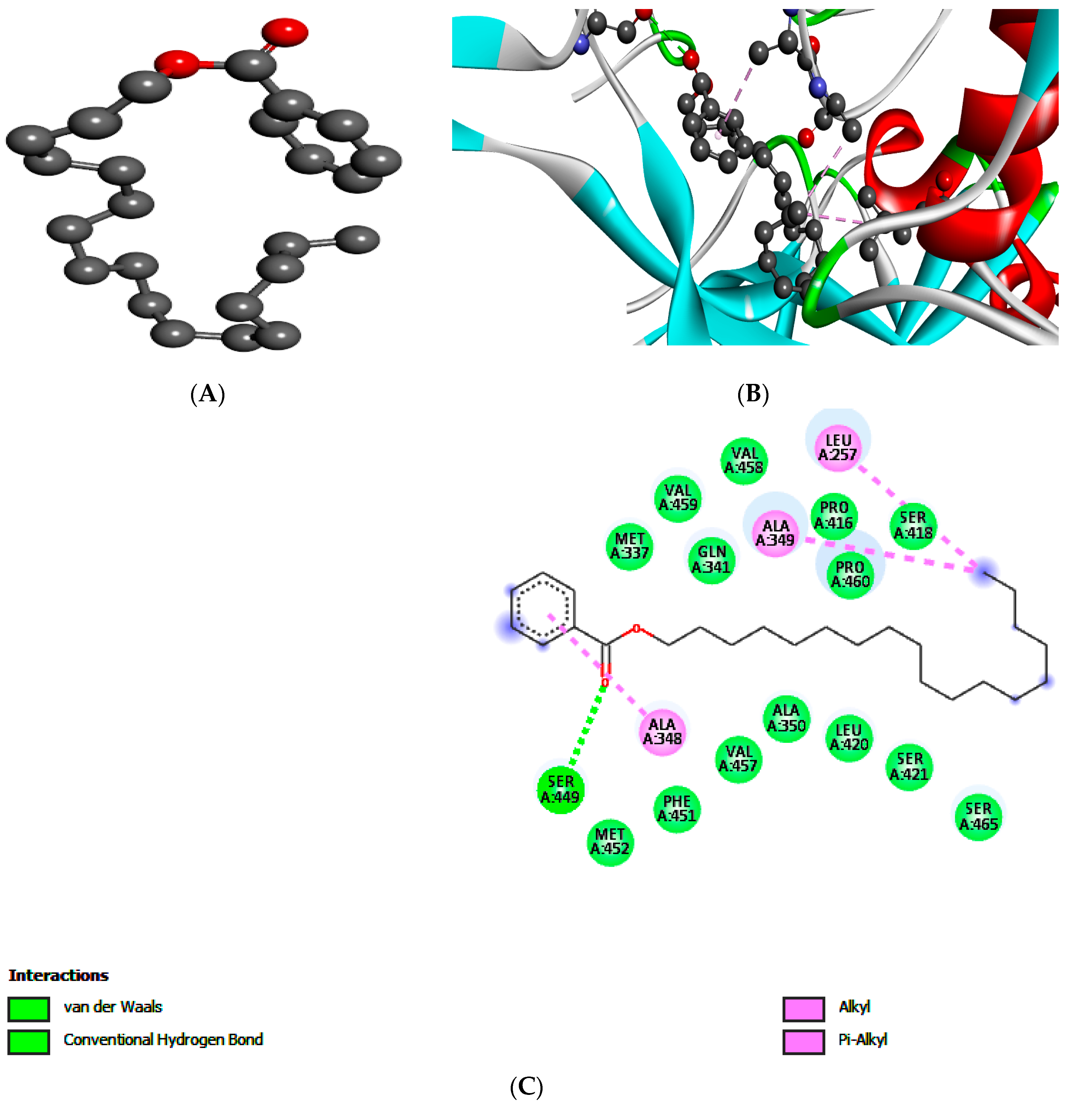 Processes 07 00208 g004 Processes 07 00208 g004