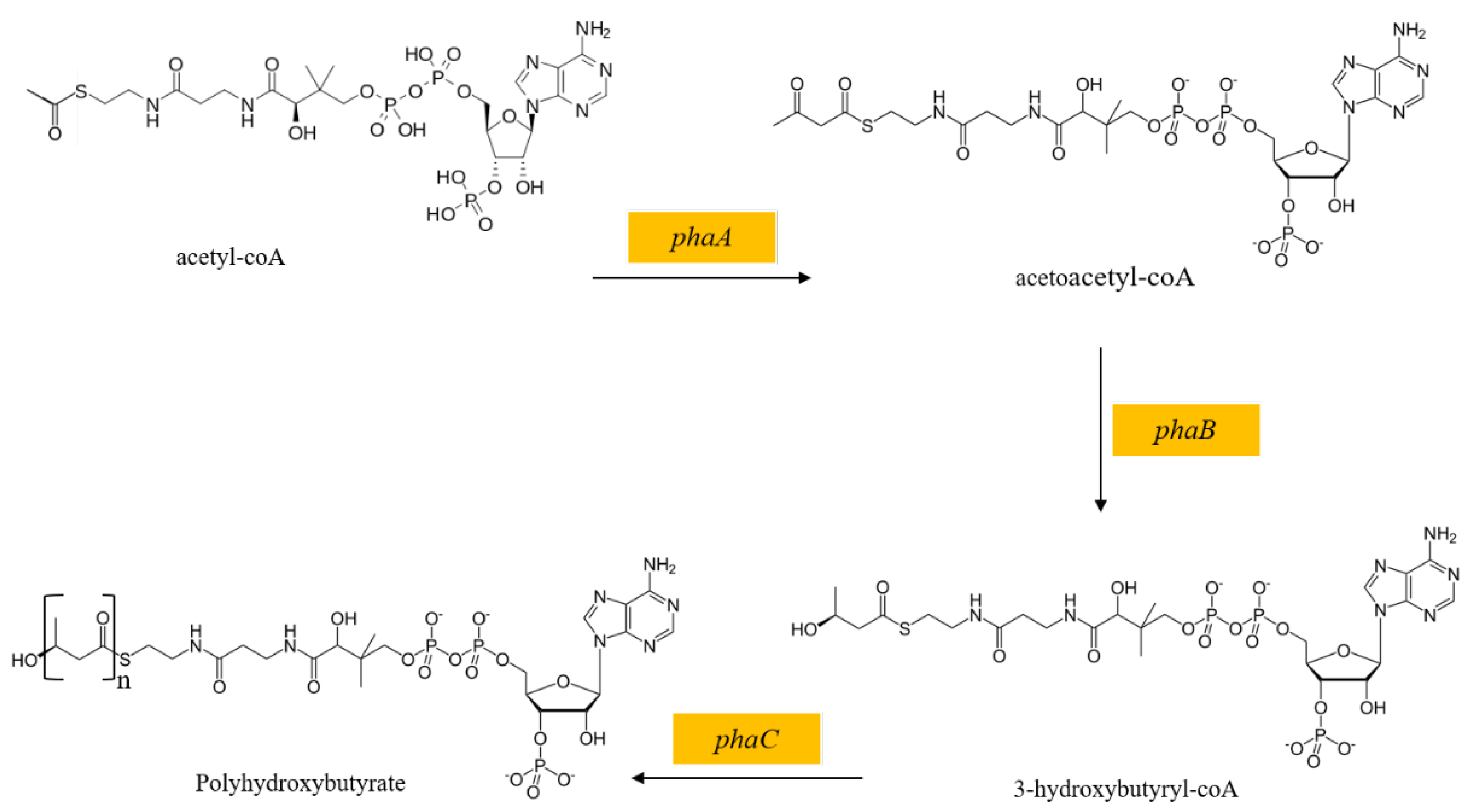 Free L-Tryptophan Case Summary