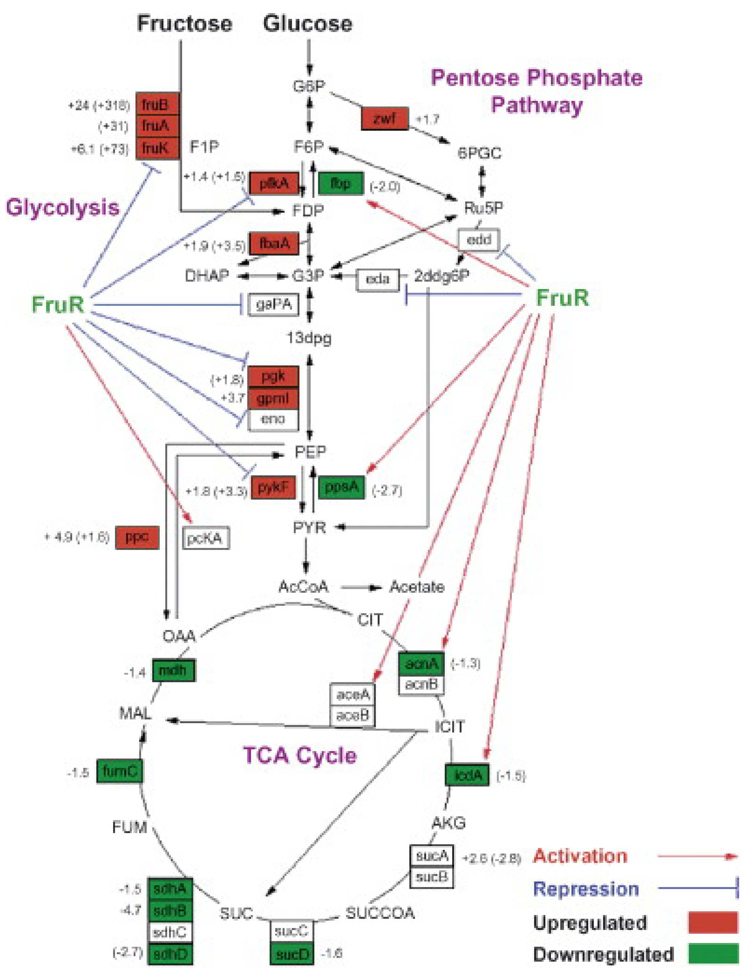 Processes 07 00213 g005 Processes 07 00213 g005
