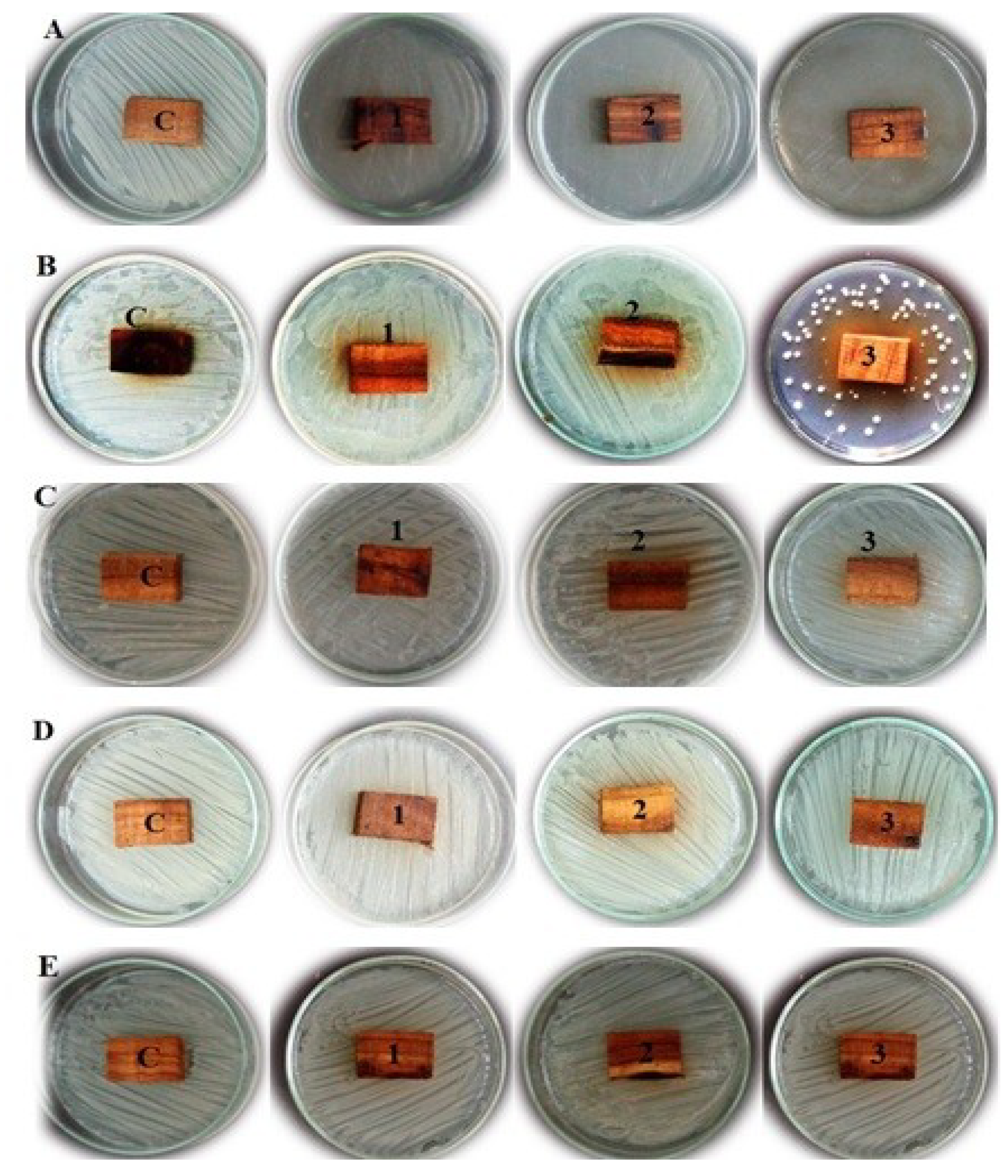 Processes 07 00215 g001 Processes 07 00215 g001